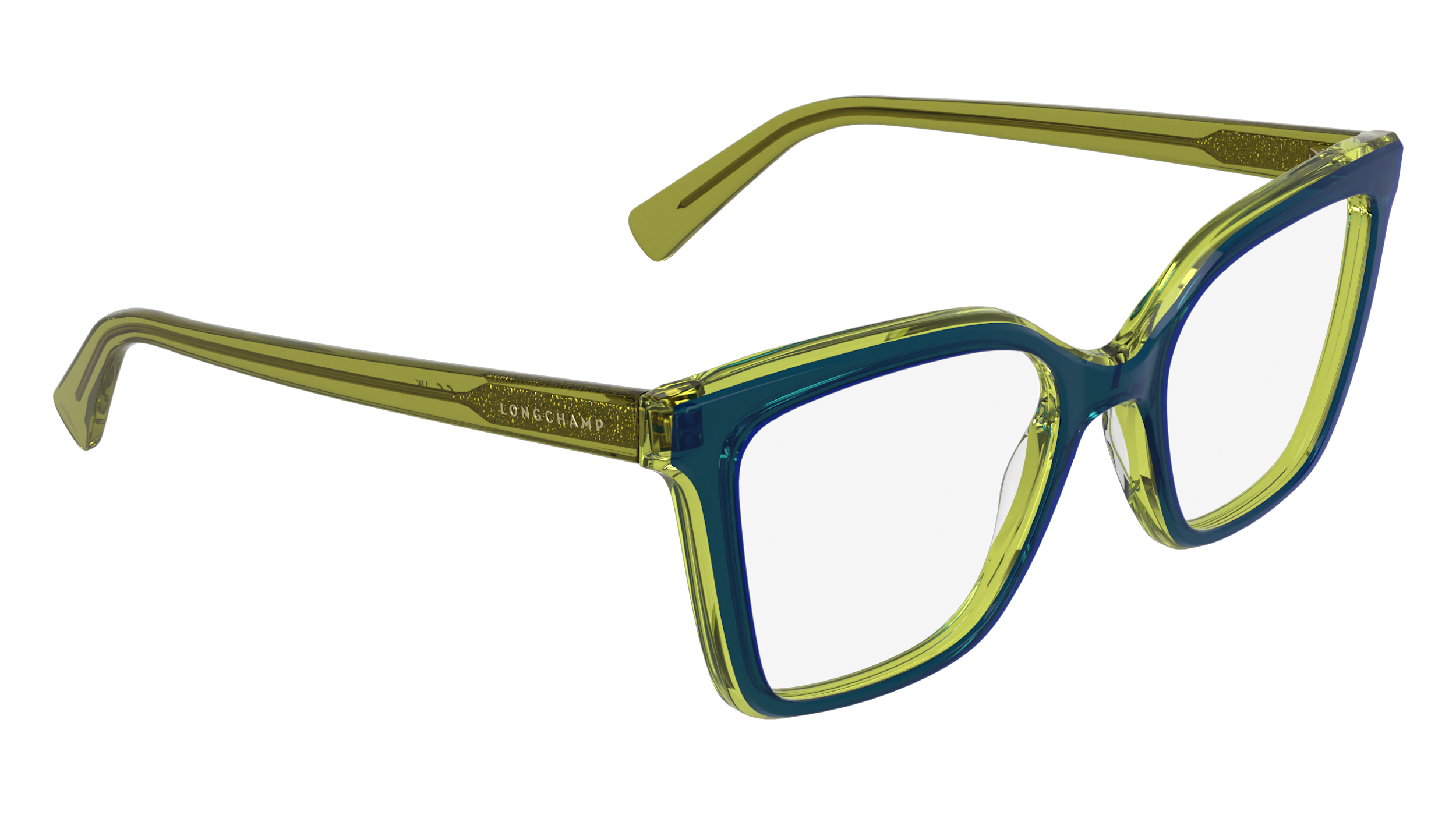 LONGCHAMP LO2795 413