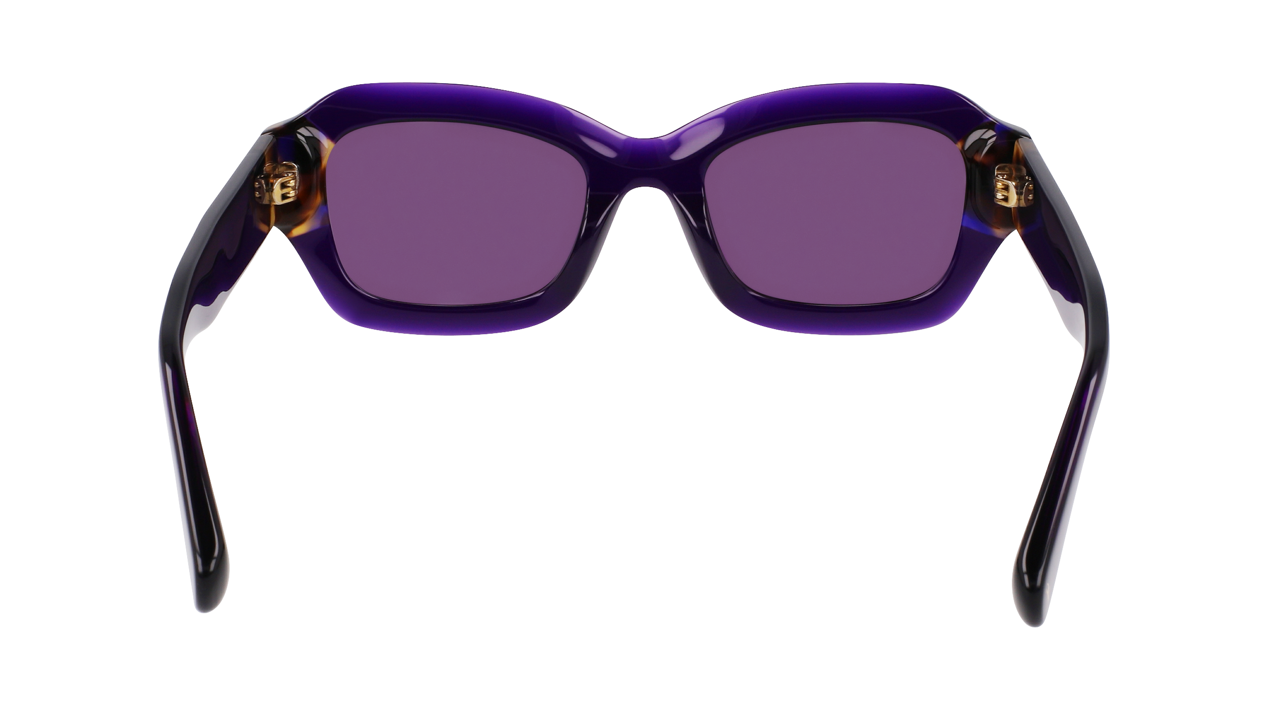 LO749S 505 Occhiali da sole LONGCHAMP 6