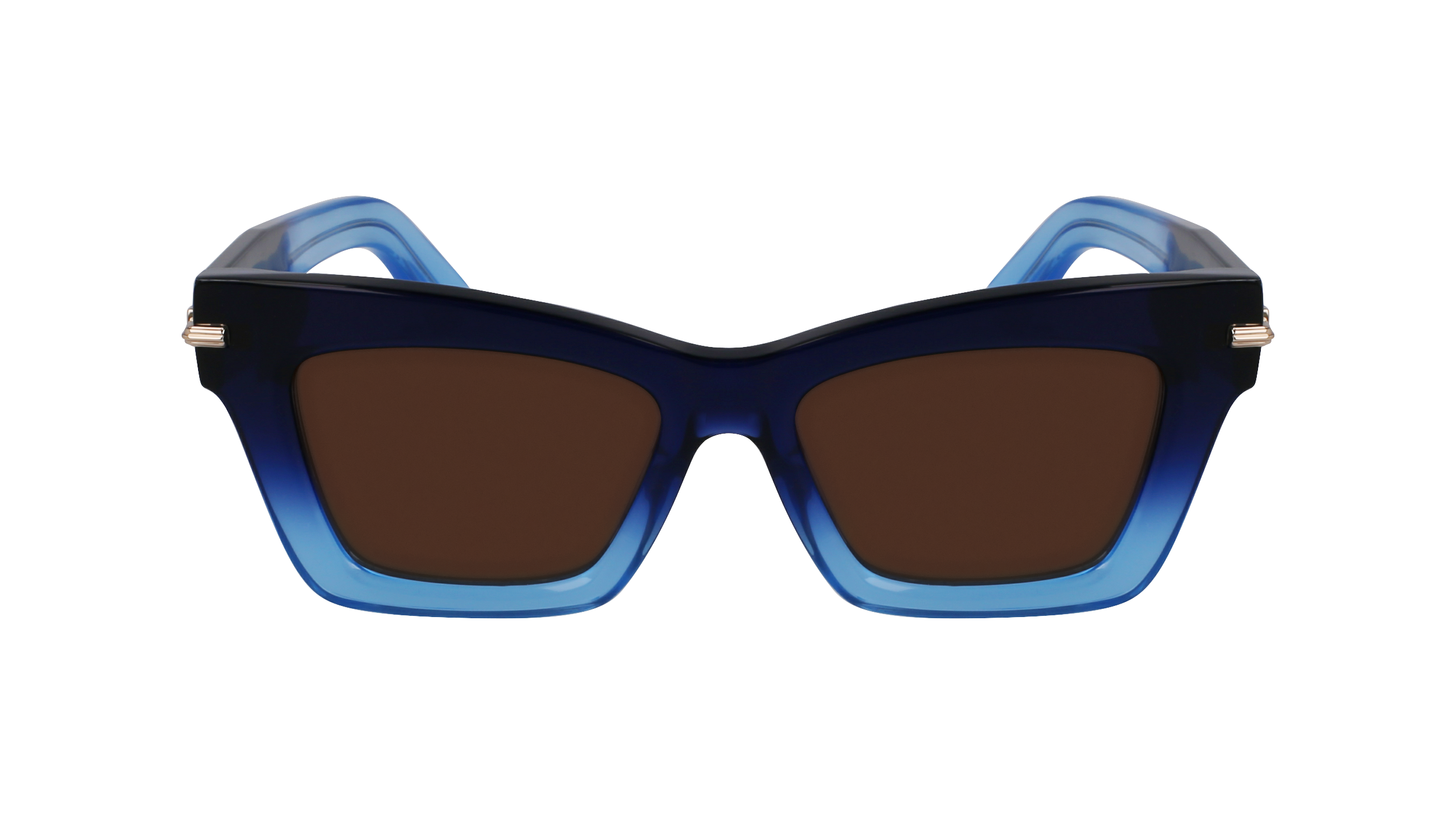 SF2031S 415 Occhiali da sole Ferragamo 2