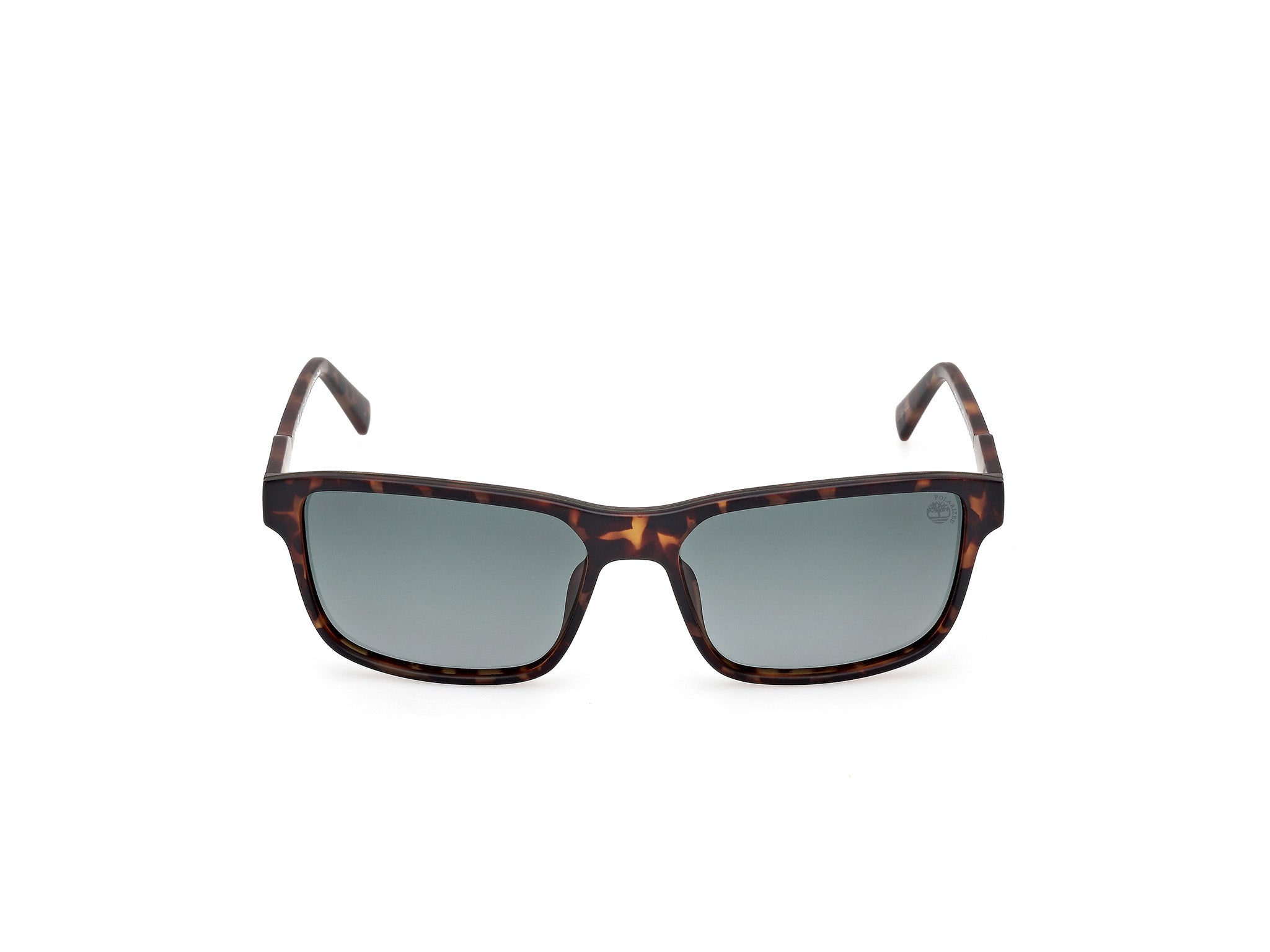 TB00051 52D Occhiali da sole Timberland 2