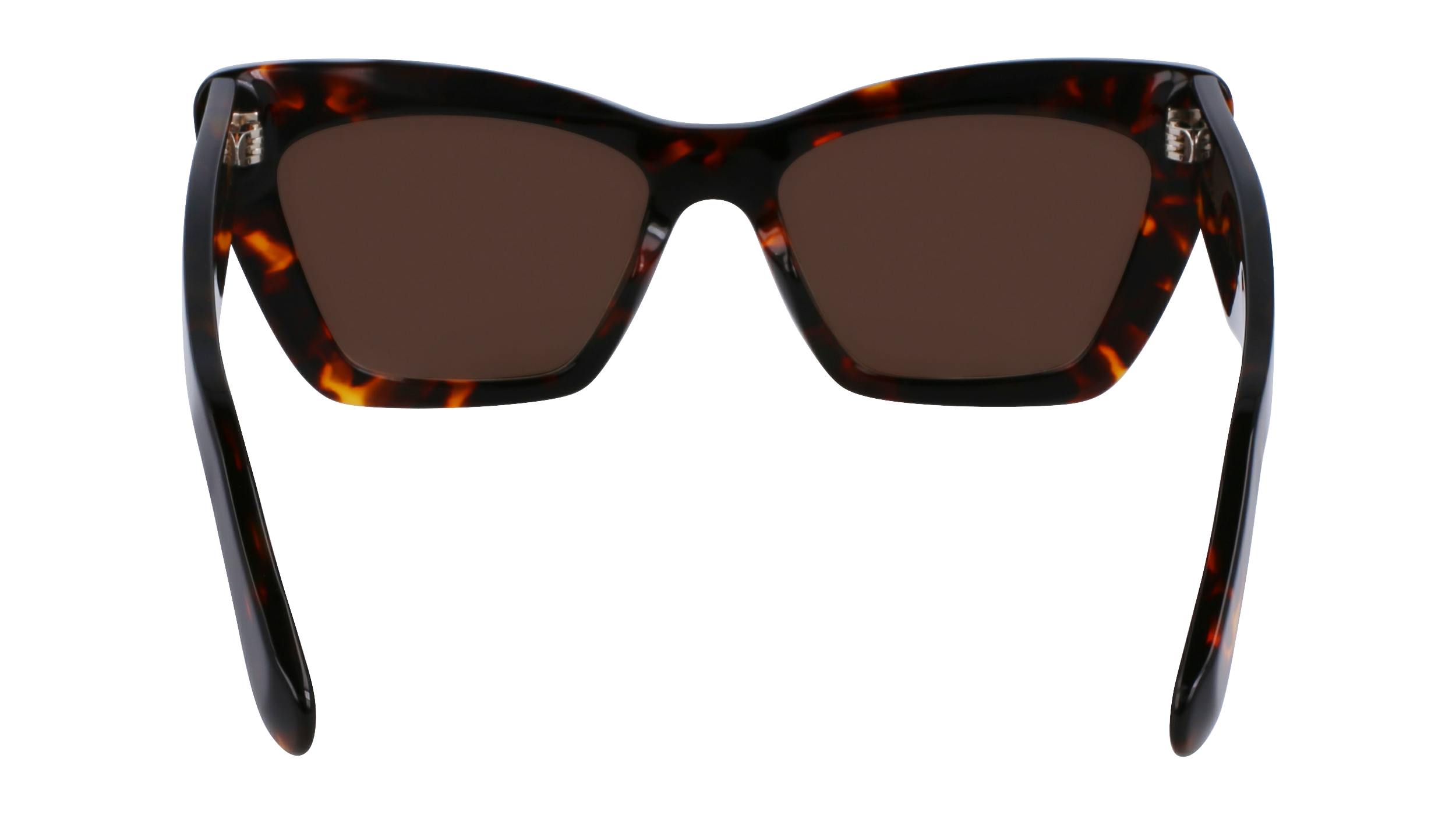 SF929SN 242 Occhiali da sole Ferragamo 6