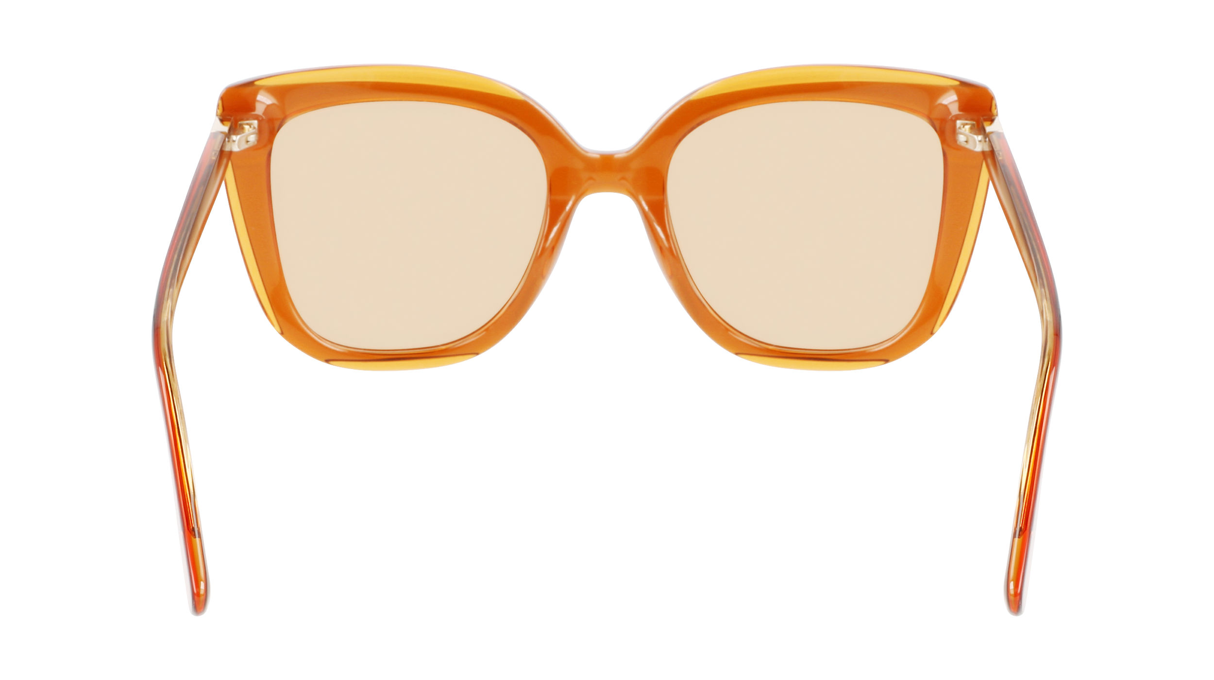 LO689S 744 Occhiali da sole LONGCHAMP 11