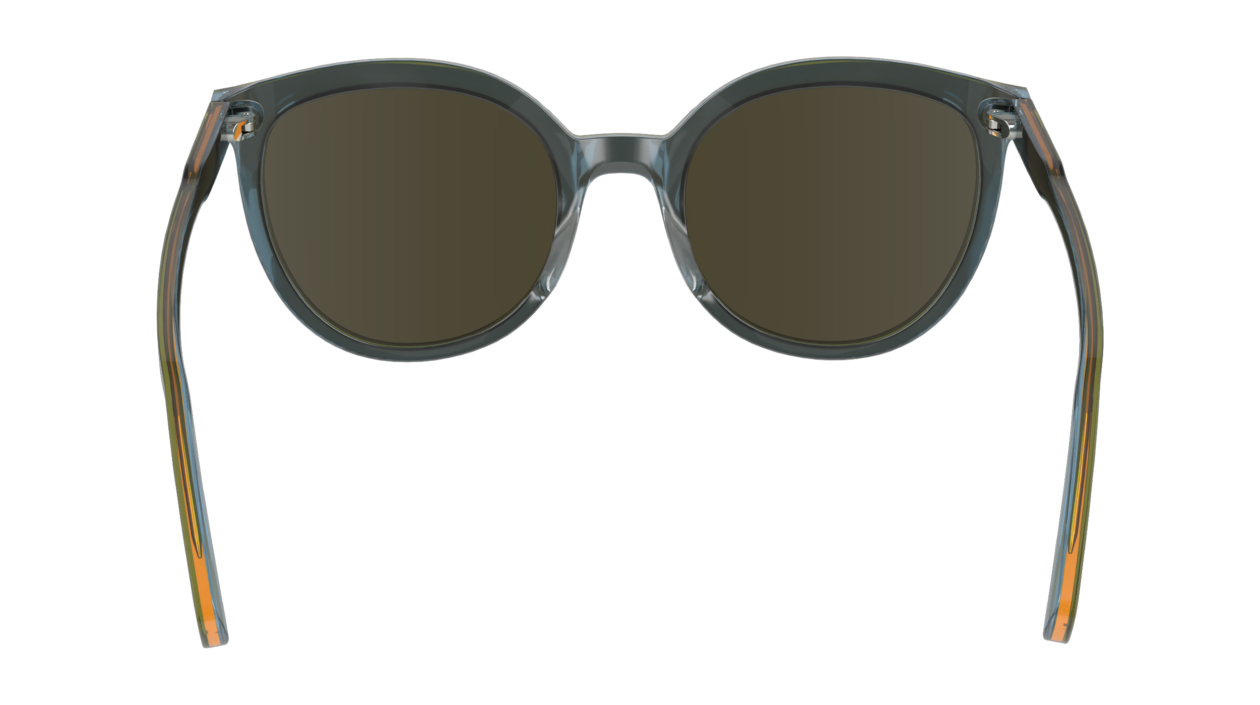 LO739S 310 Occhiali da sole LONGCHAMP 6