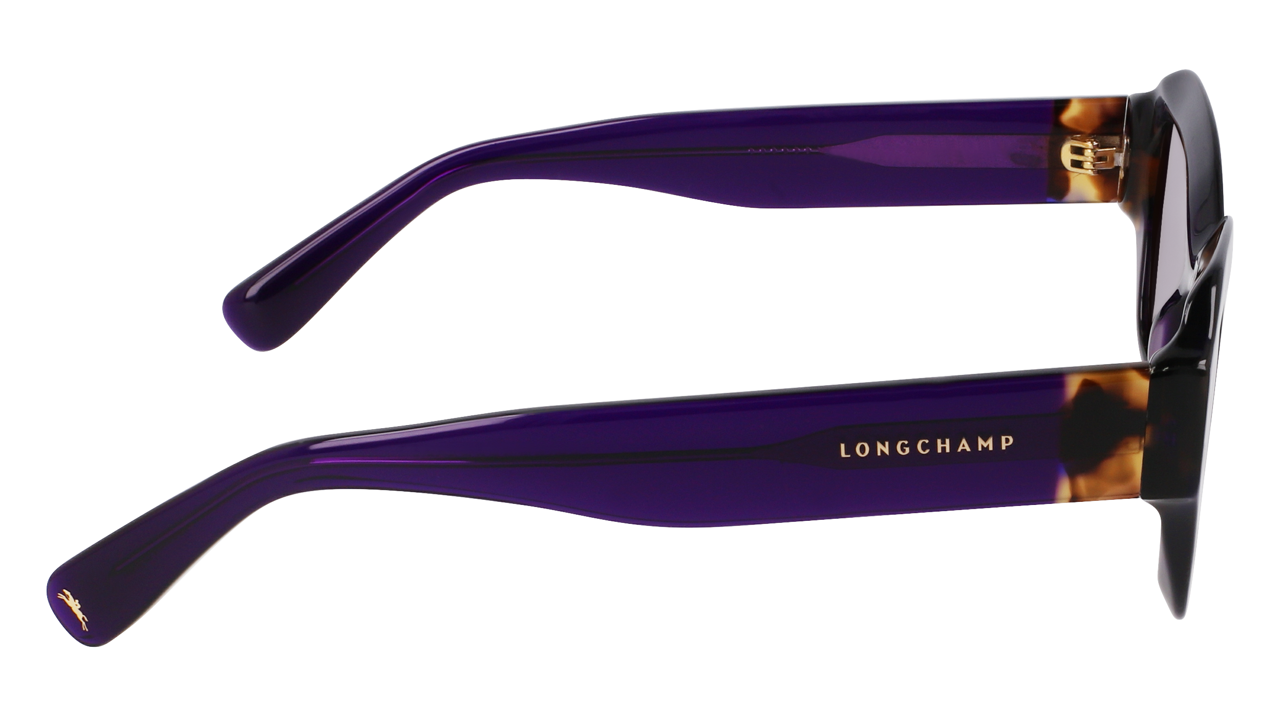 LO749S 505 Occhiali da sole LONGCHAMP 7