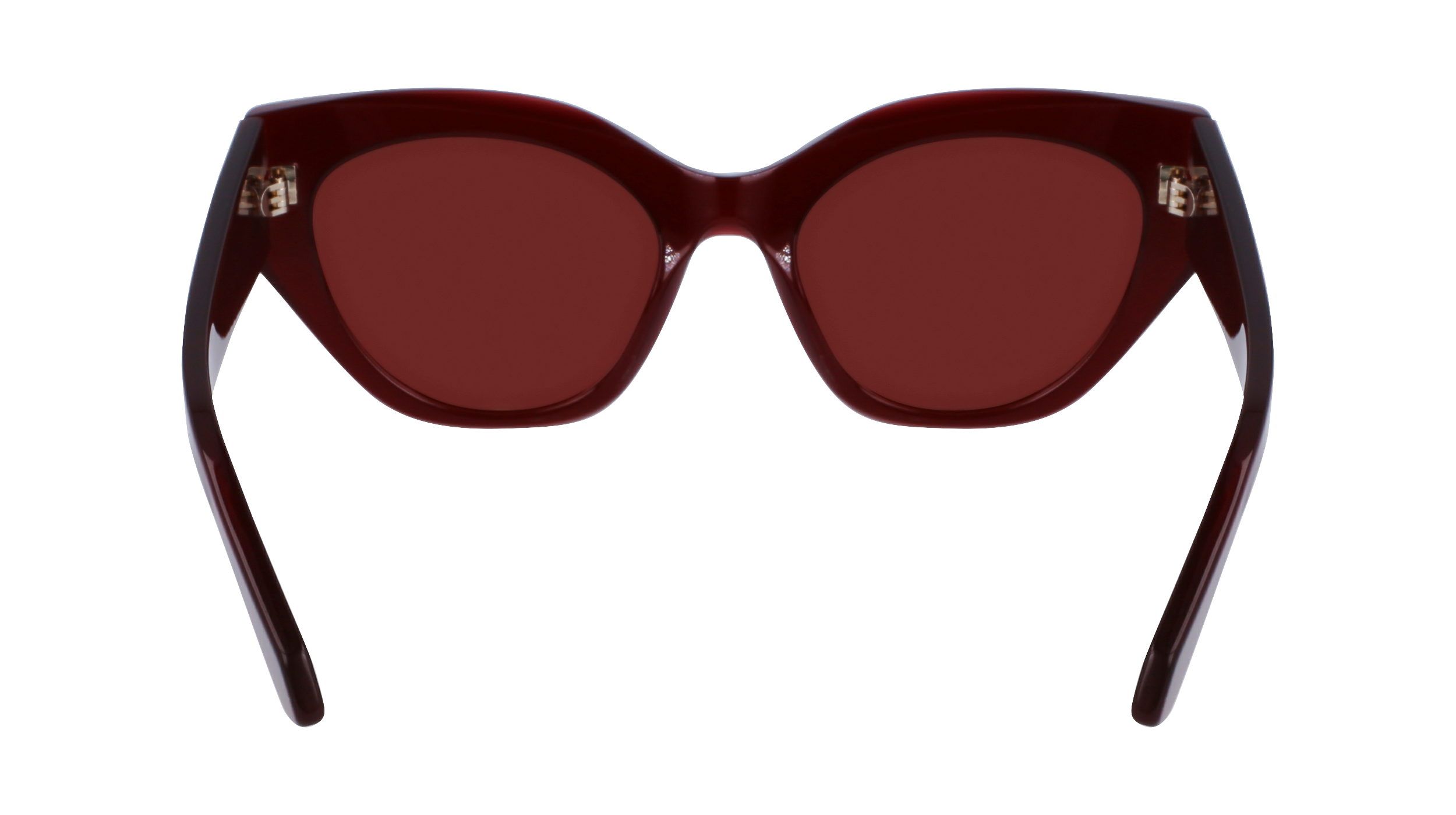 SF1107S 653 Occhiali da sole Ferragamo 10