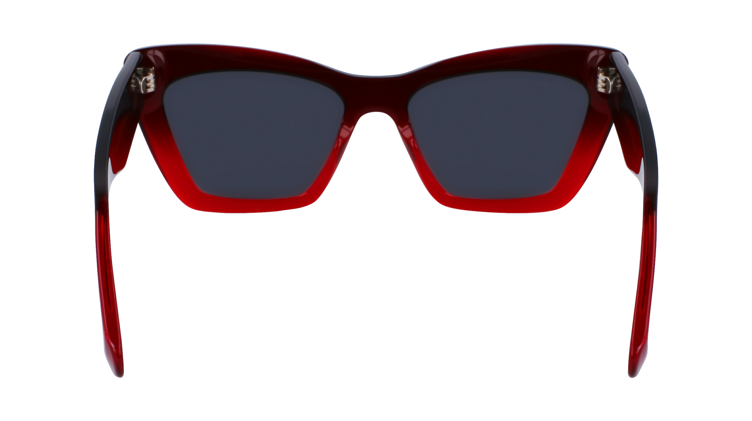 SF929SN 615 Occhiali da sole Ferragamo 6