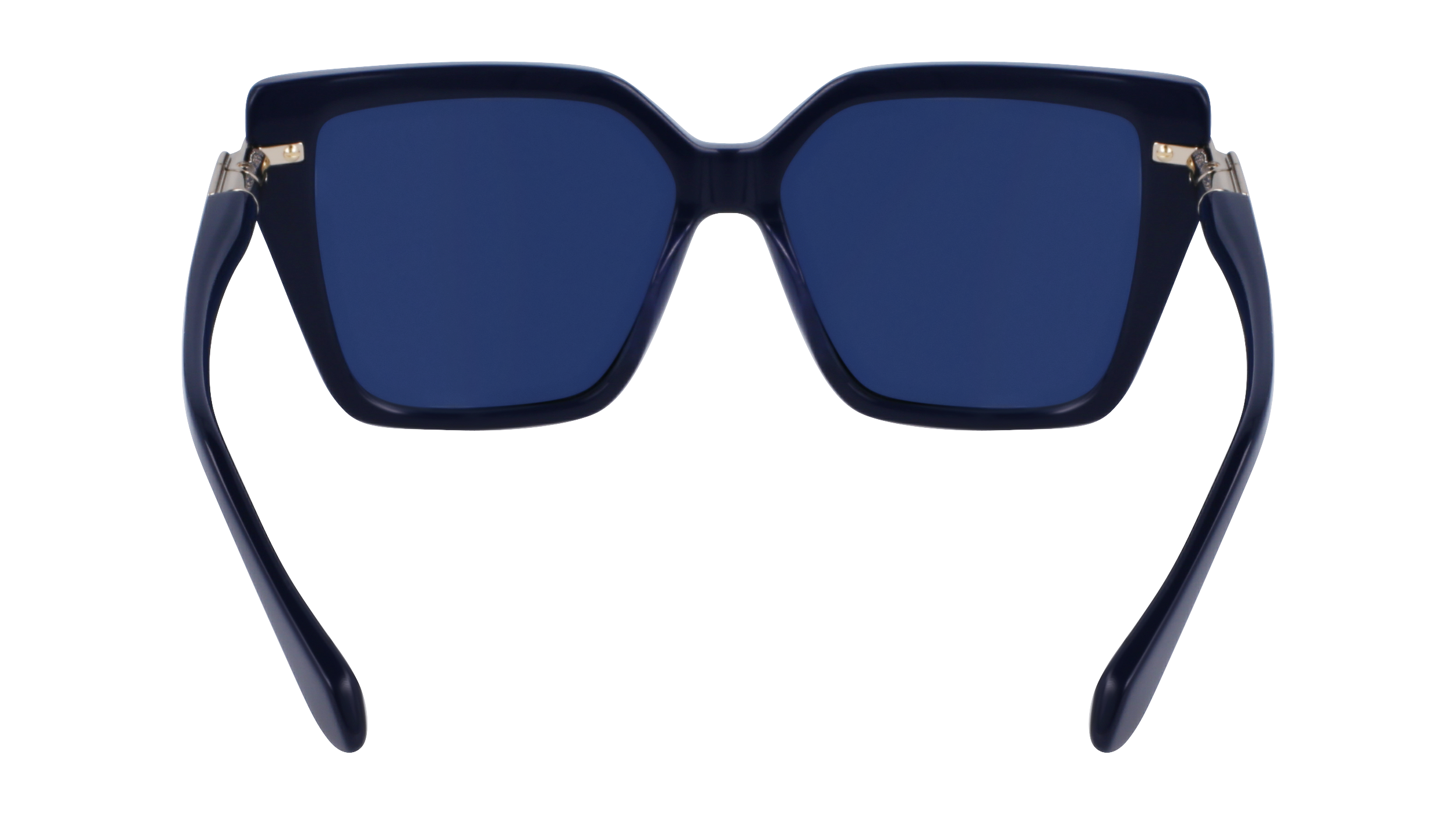 SF1106S 414 Occhiali da sole Ferragamo 10