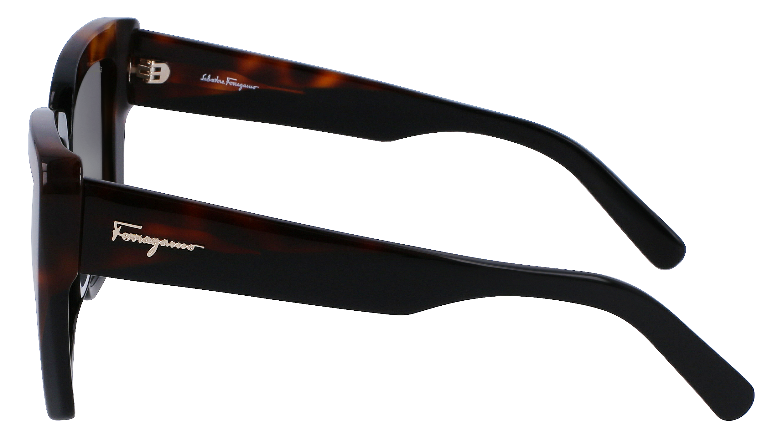 SF1060S 6 Occhiali da sole Ferragamo 5