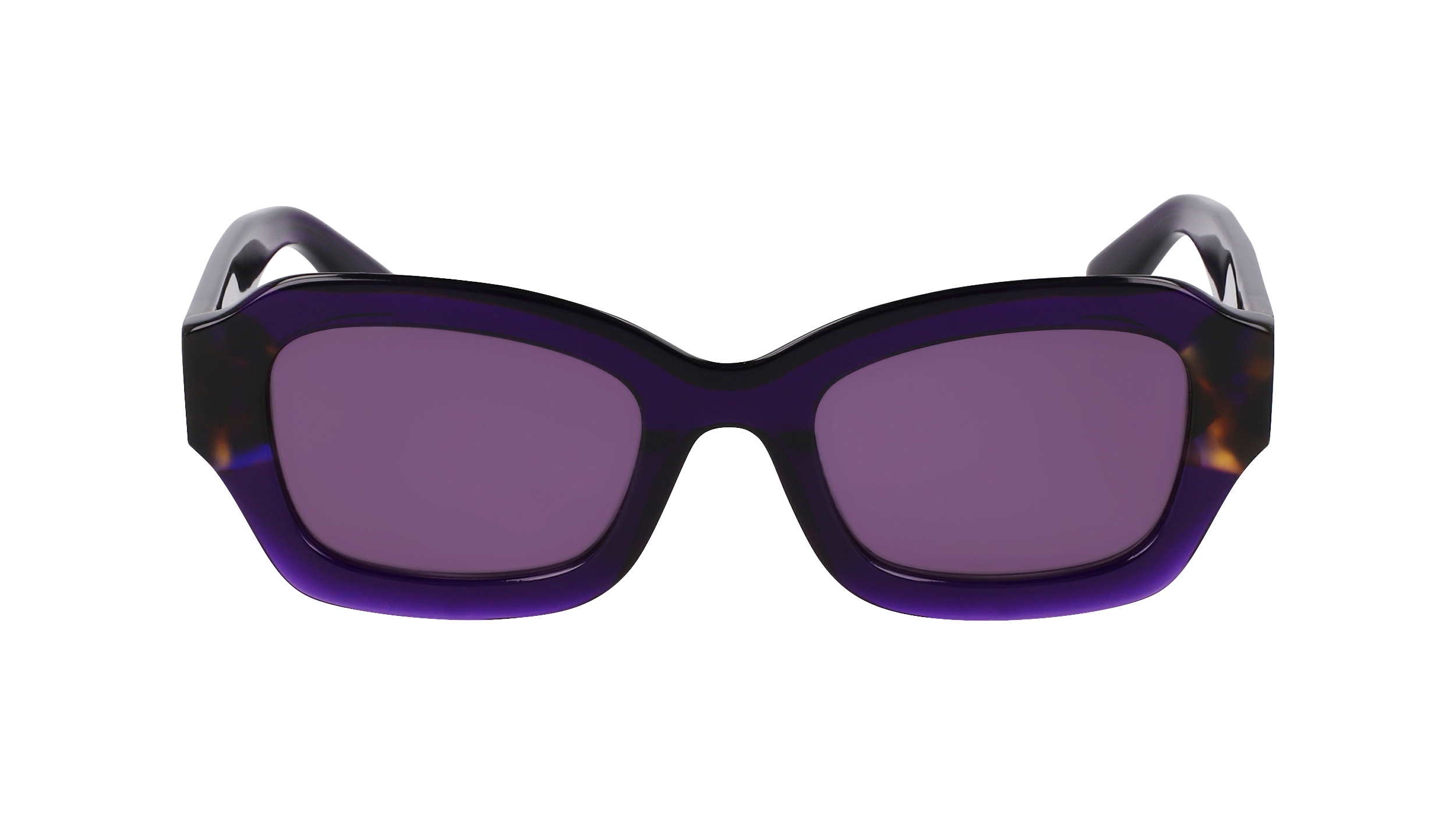 LO749S 505 Occhiali da sole LONGCHAMP 2