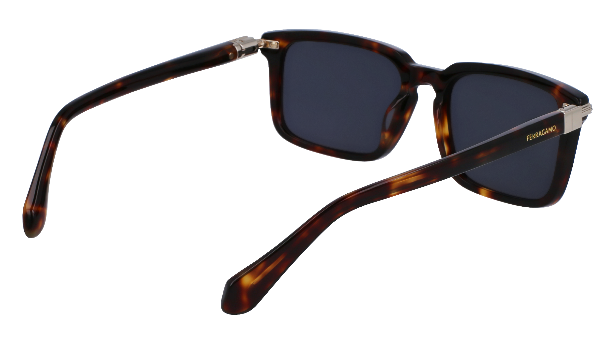 SF1110S 242 Occhiali da sole Ferragamo 5