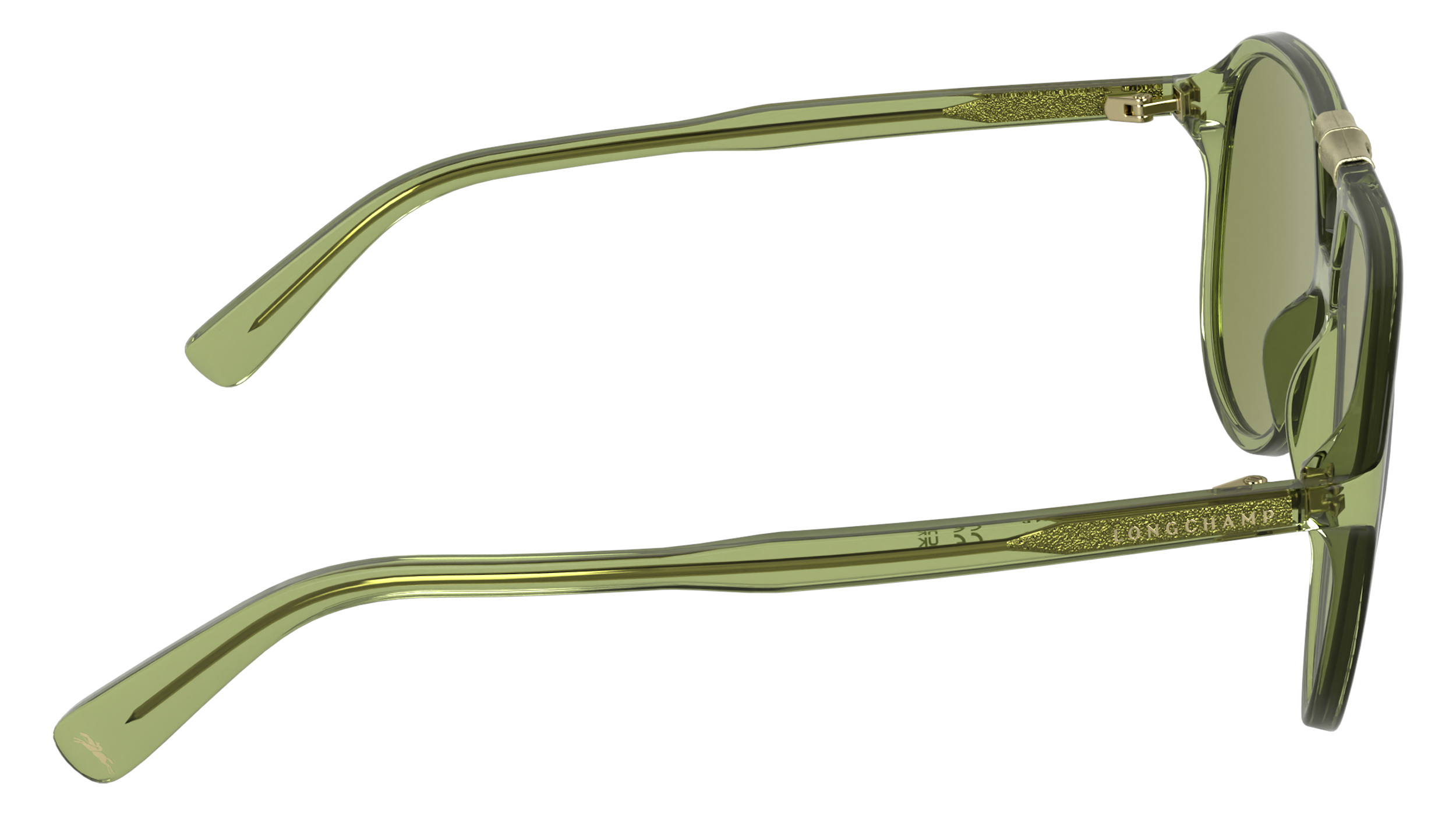 LONGCHAMP LO800S 300