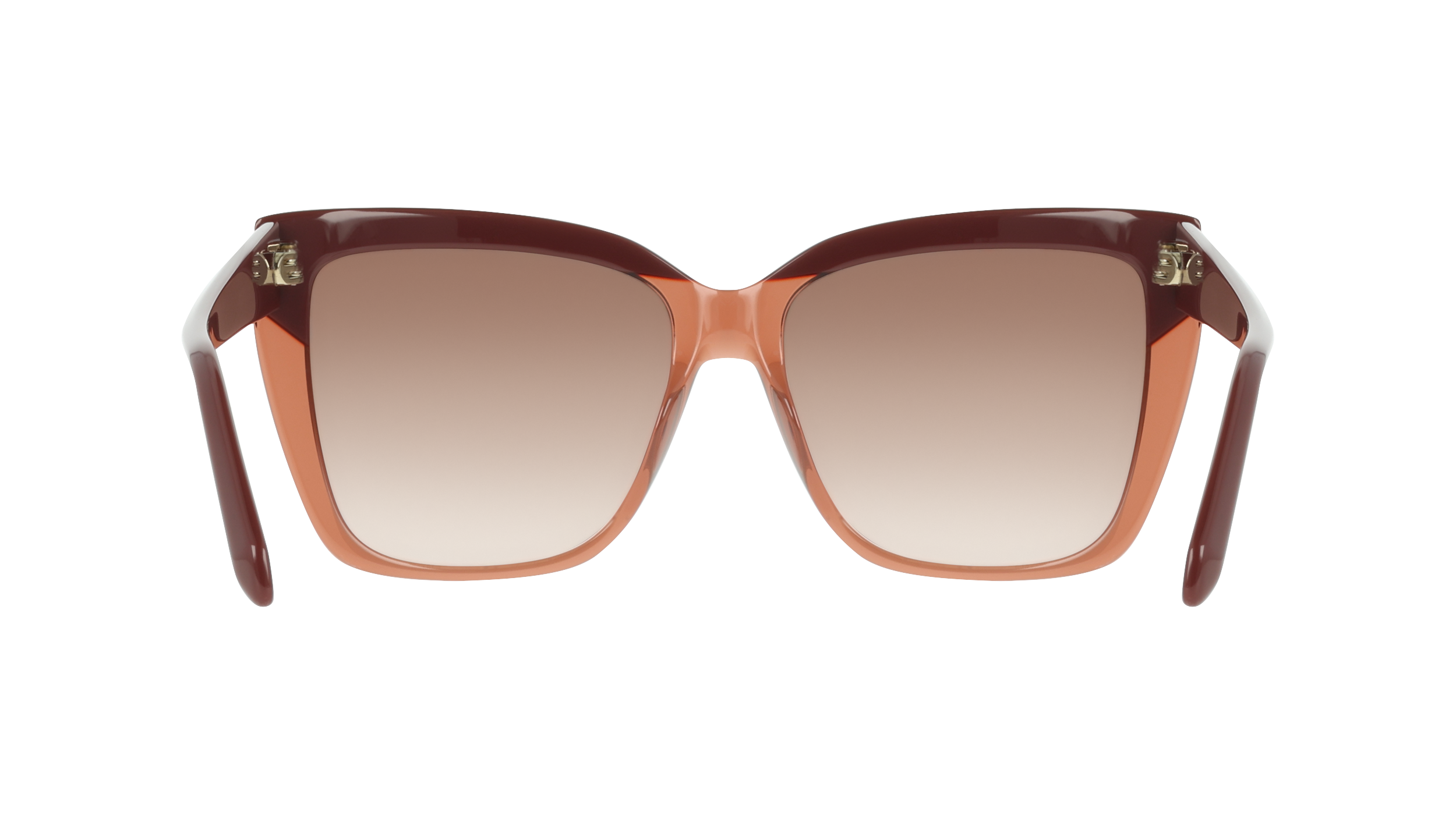 SF1102S 619 Occhiali da sole Ferragamo 5