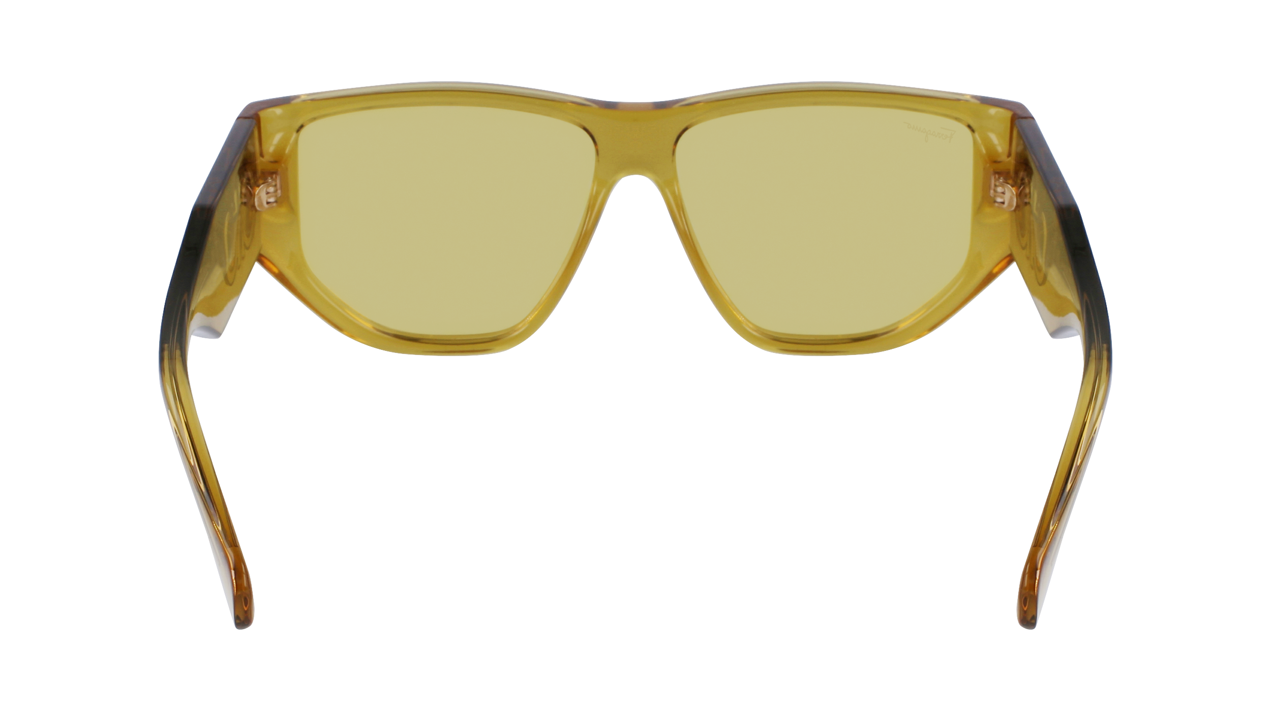 SF1077S 703 Occhiali da sole Ferragamo 6