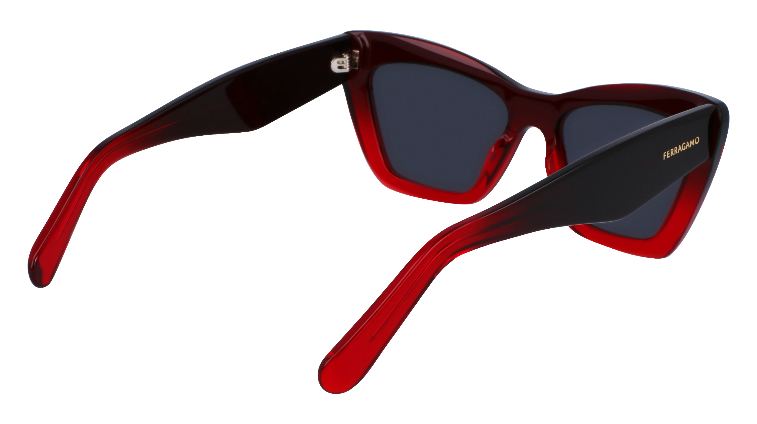 SF929SN 615 Occhiali da sole Ferragamo 5