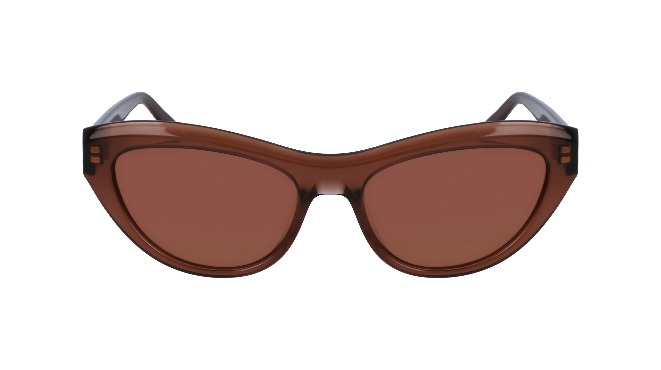 SF1103S 232 Occhiali da sole Ferragamo 2