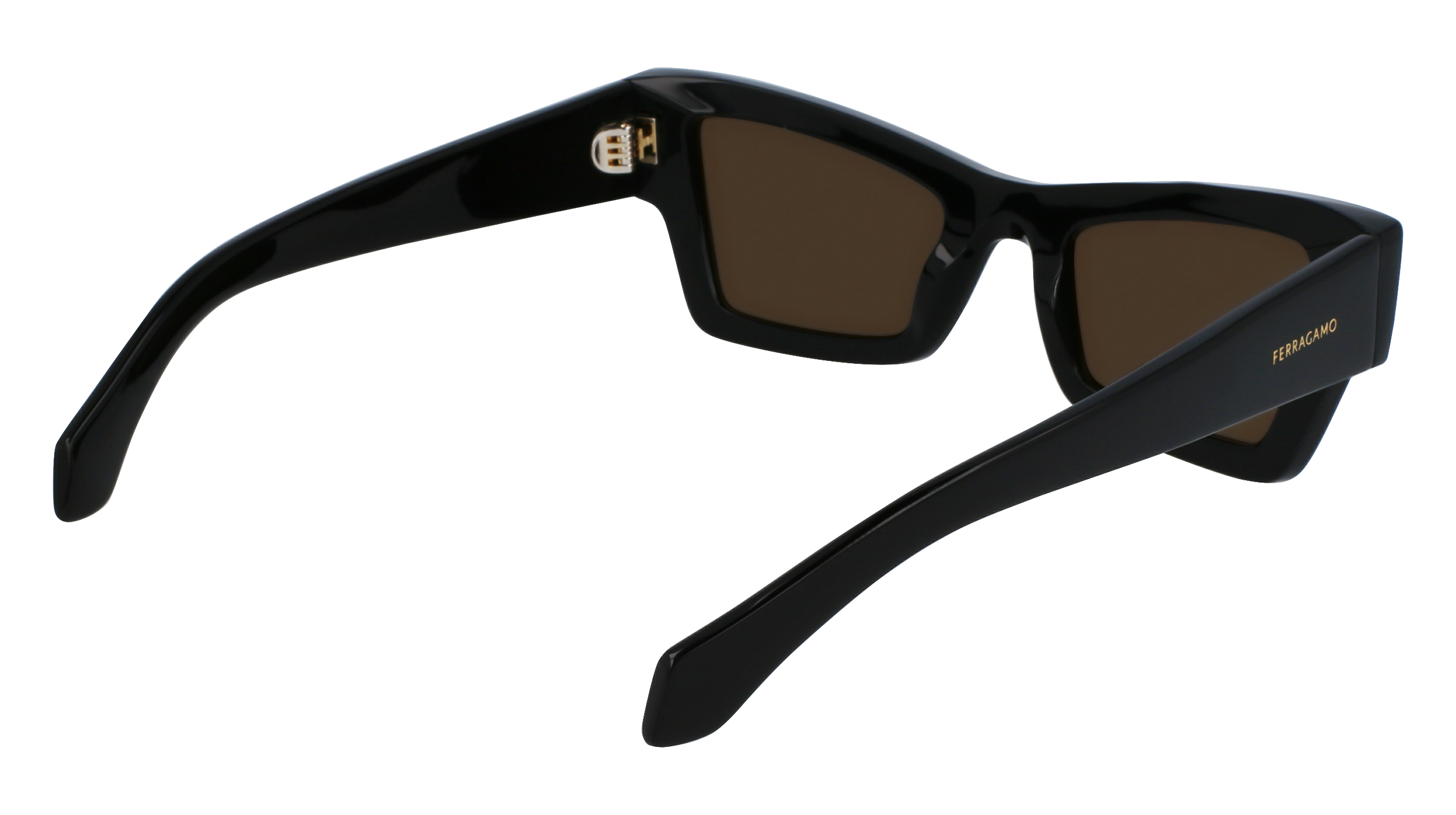 SF2006S 001 Occhiali da sole Ferragamo 5
