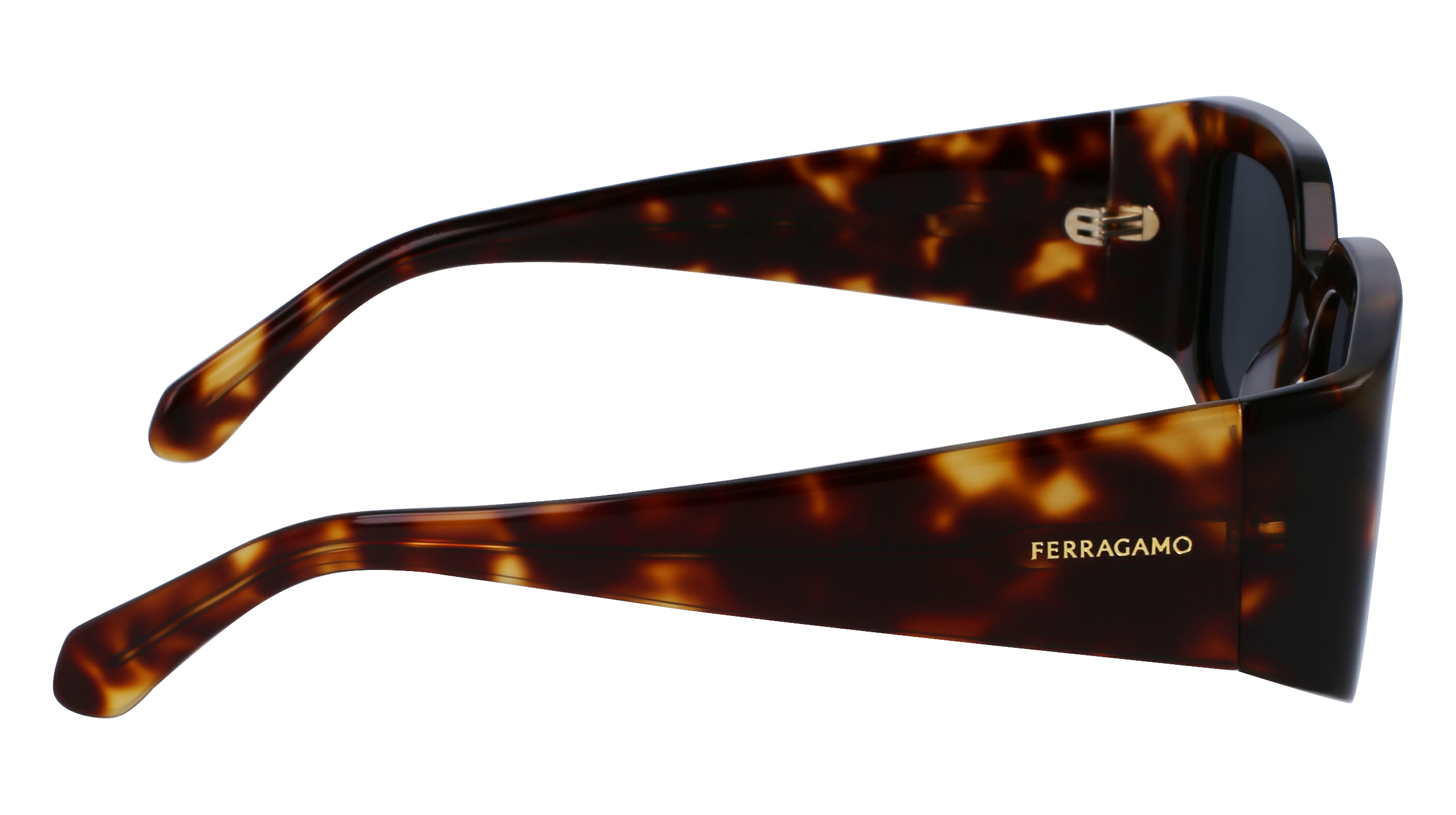 SF1101S 242 Occhiali da sole Ferragamo 11