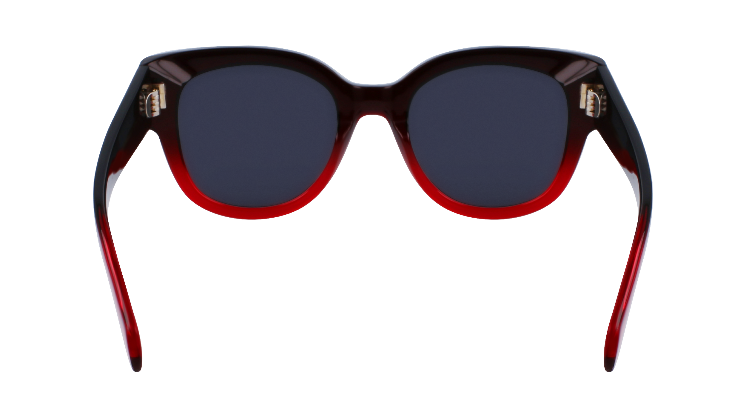 SF2007S 615 Occhiali da sole Ferragamo 6