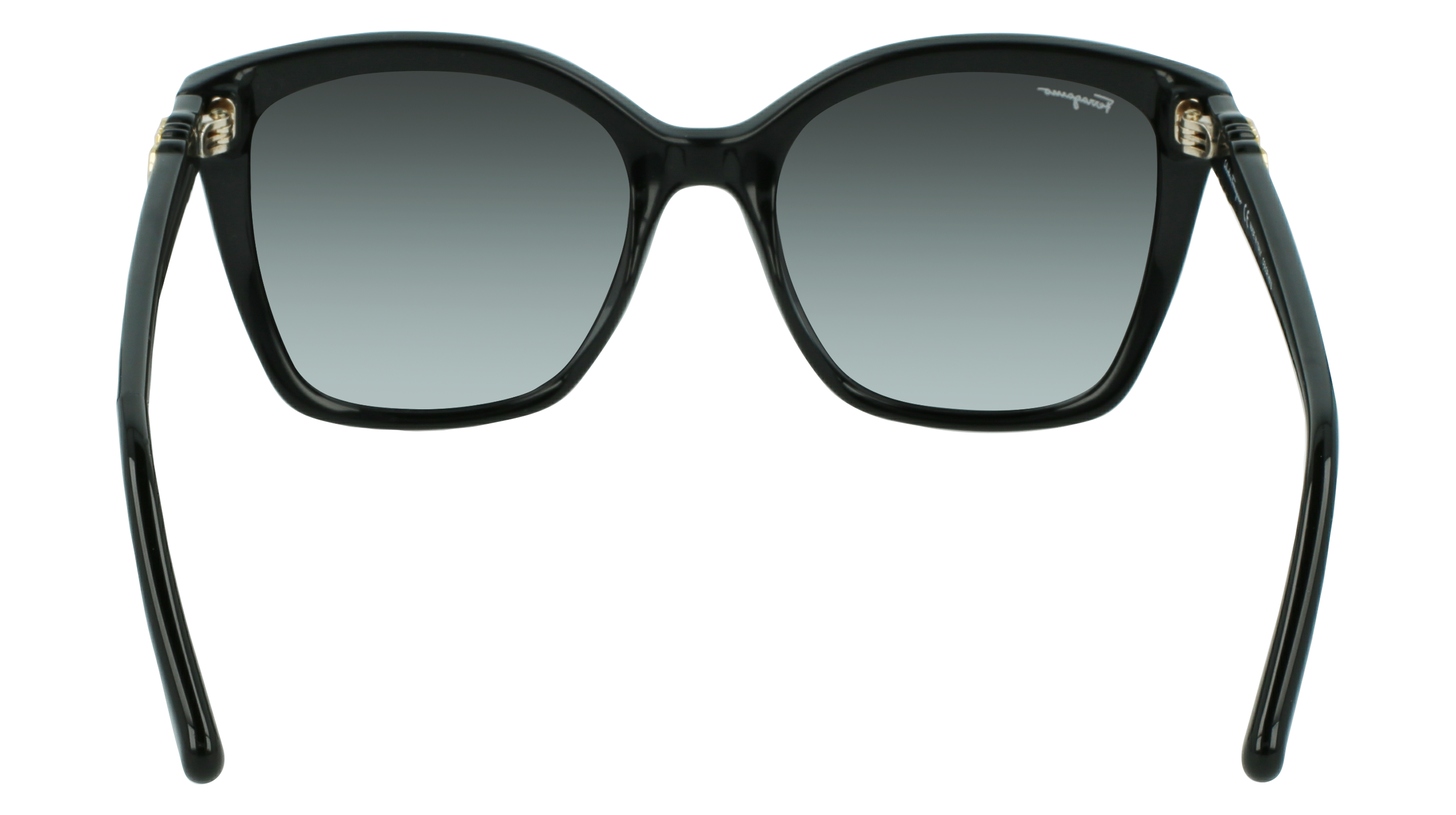 SF1026S 001 Occhiali da sole Ferragamo 7