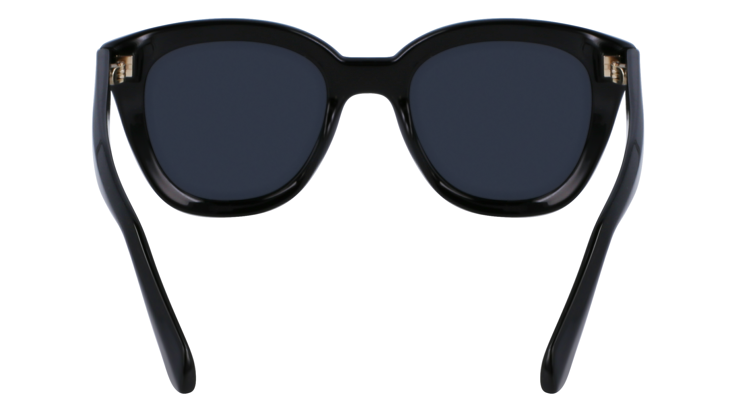 SF2000S 001 Occhiali da sole Ferragamo 6