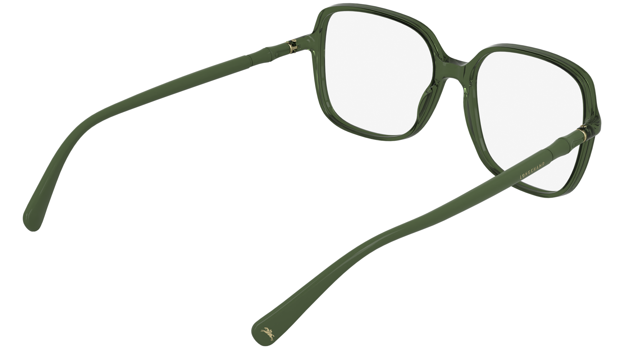 LONGCHAMP LO2802 300