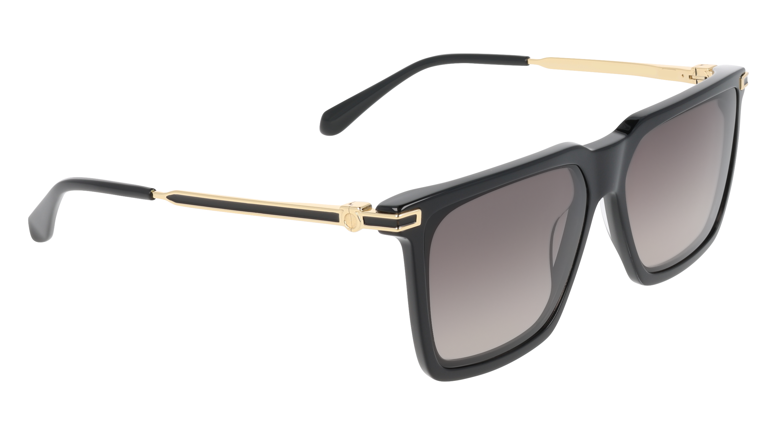 SF2077SLBI 1 Occhiali da sole Ferragamo 8