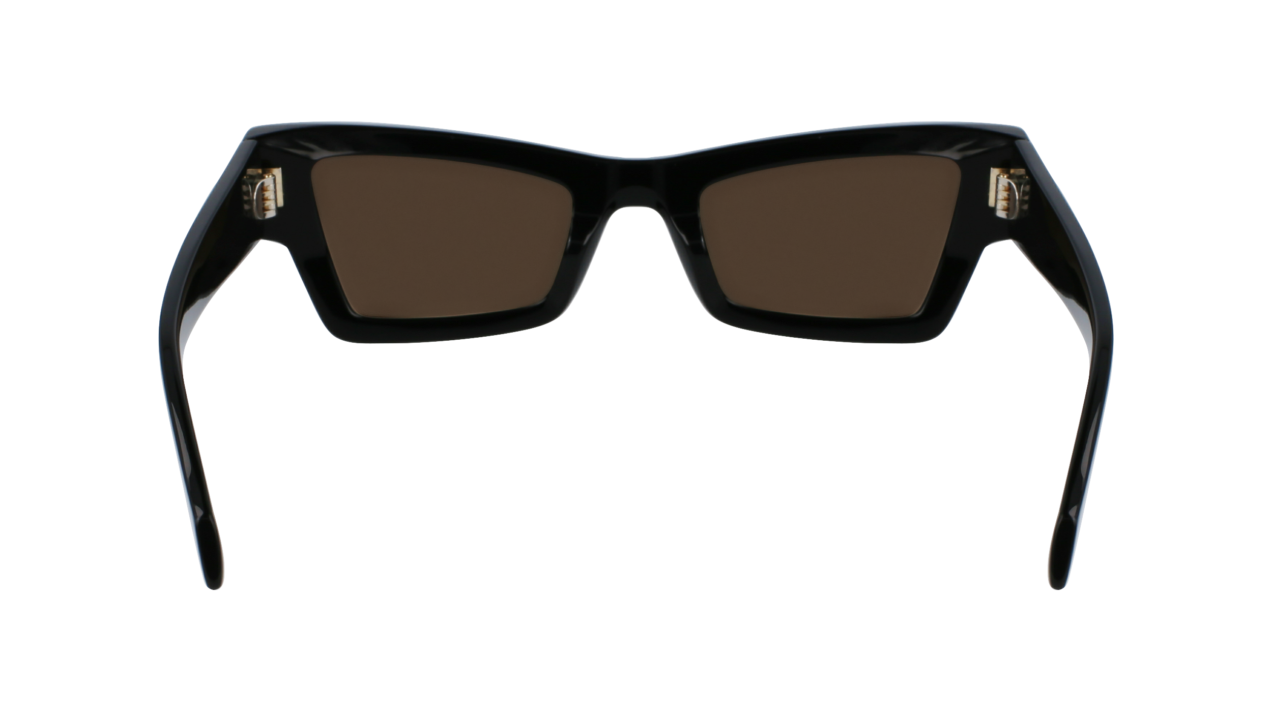 SF2006S 001 Occhiali da sole Ferragamo 6