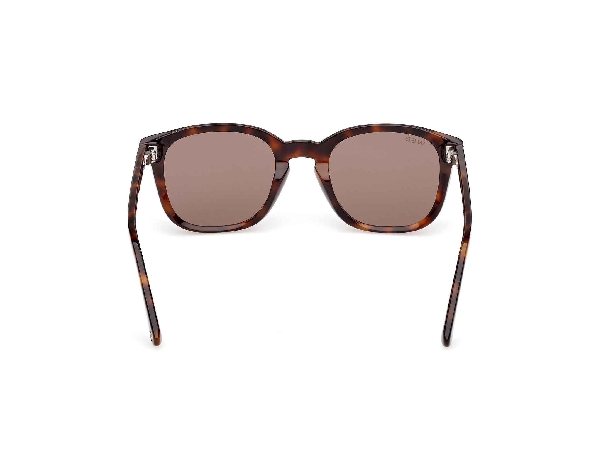 WE0390 52E Occhiali da sole Web 4