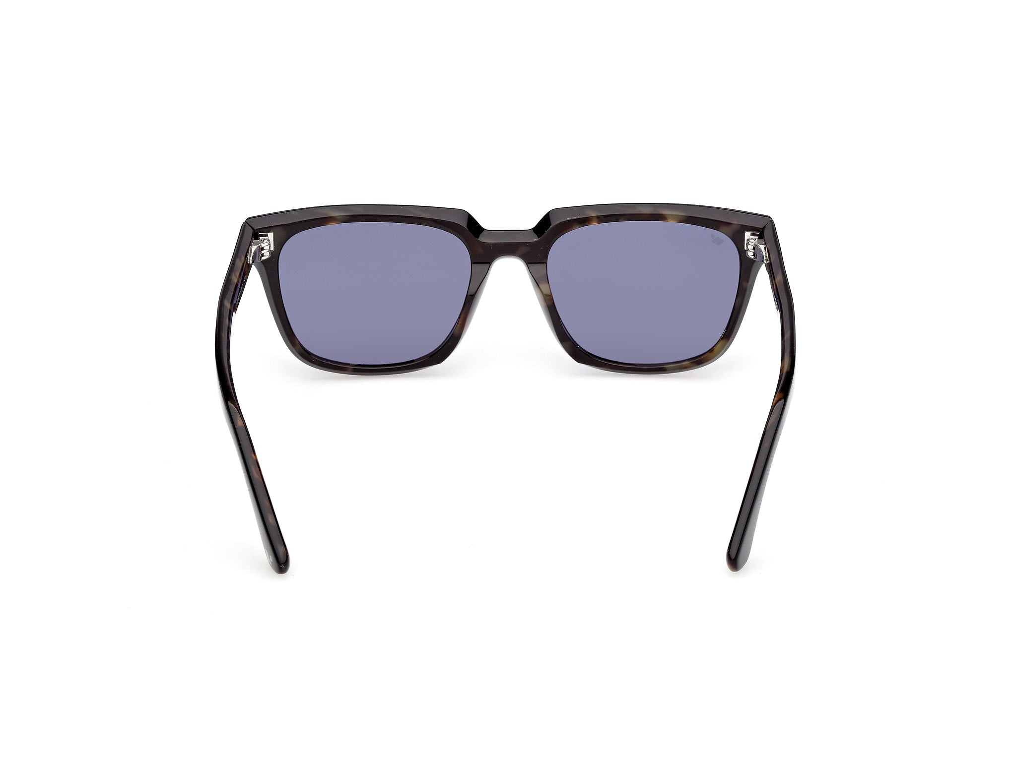 WE0391 05V Occhiali da sole Web 4