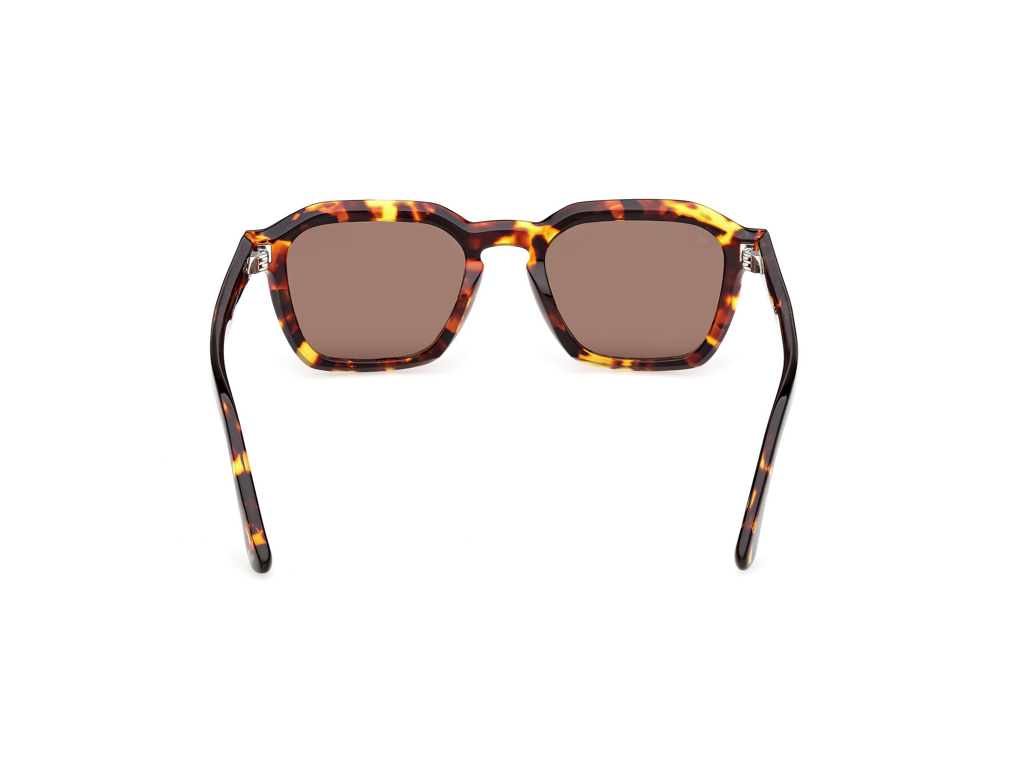 WE0392 55E Occhiali da sole Web 4