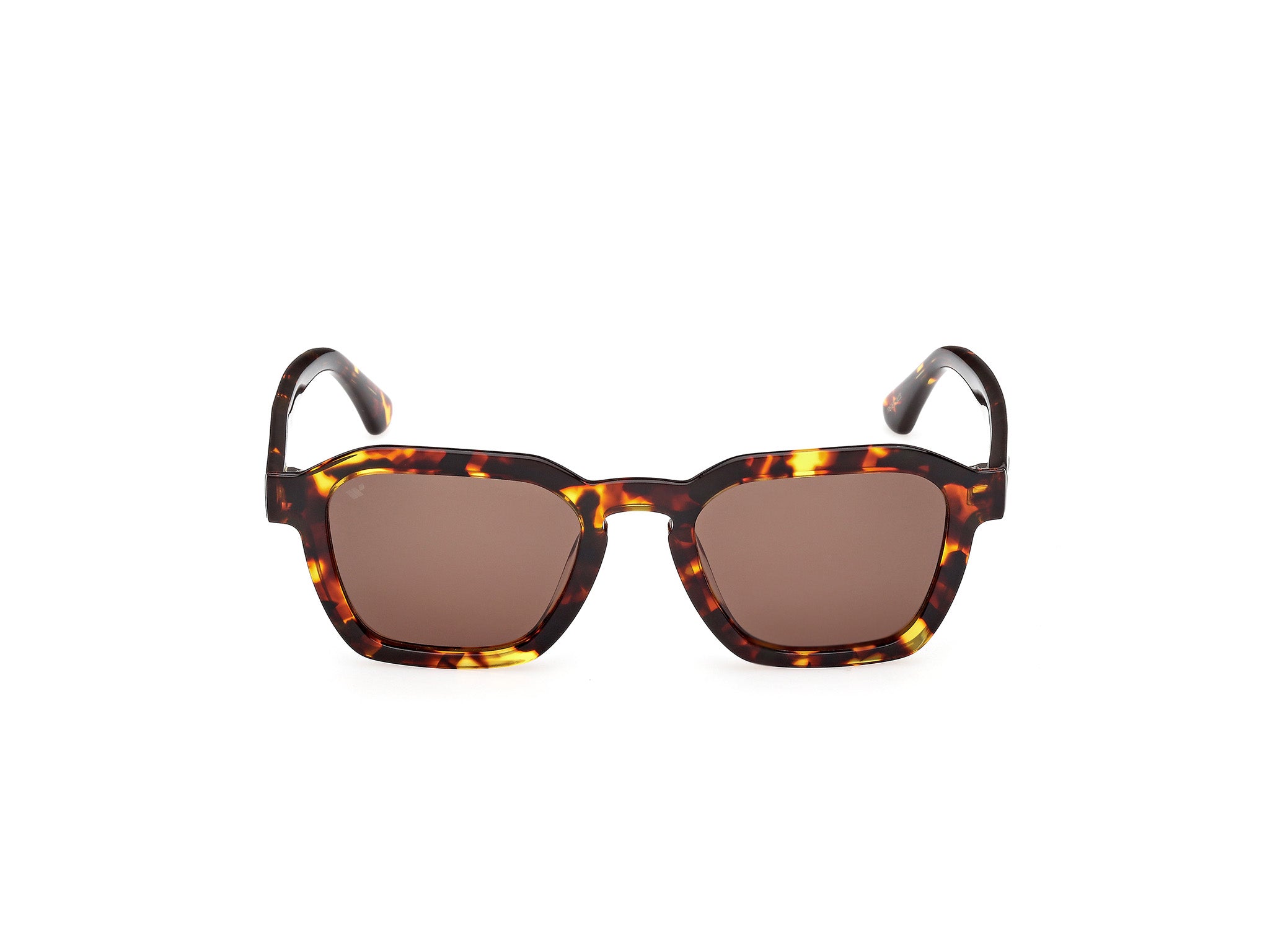 WE0392 55E Occhiali da sole Web 2