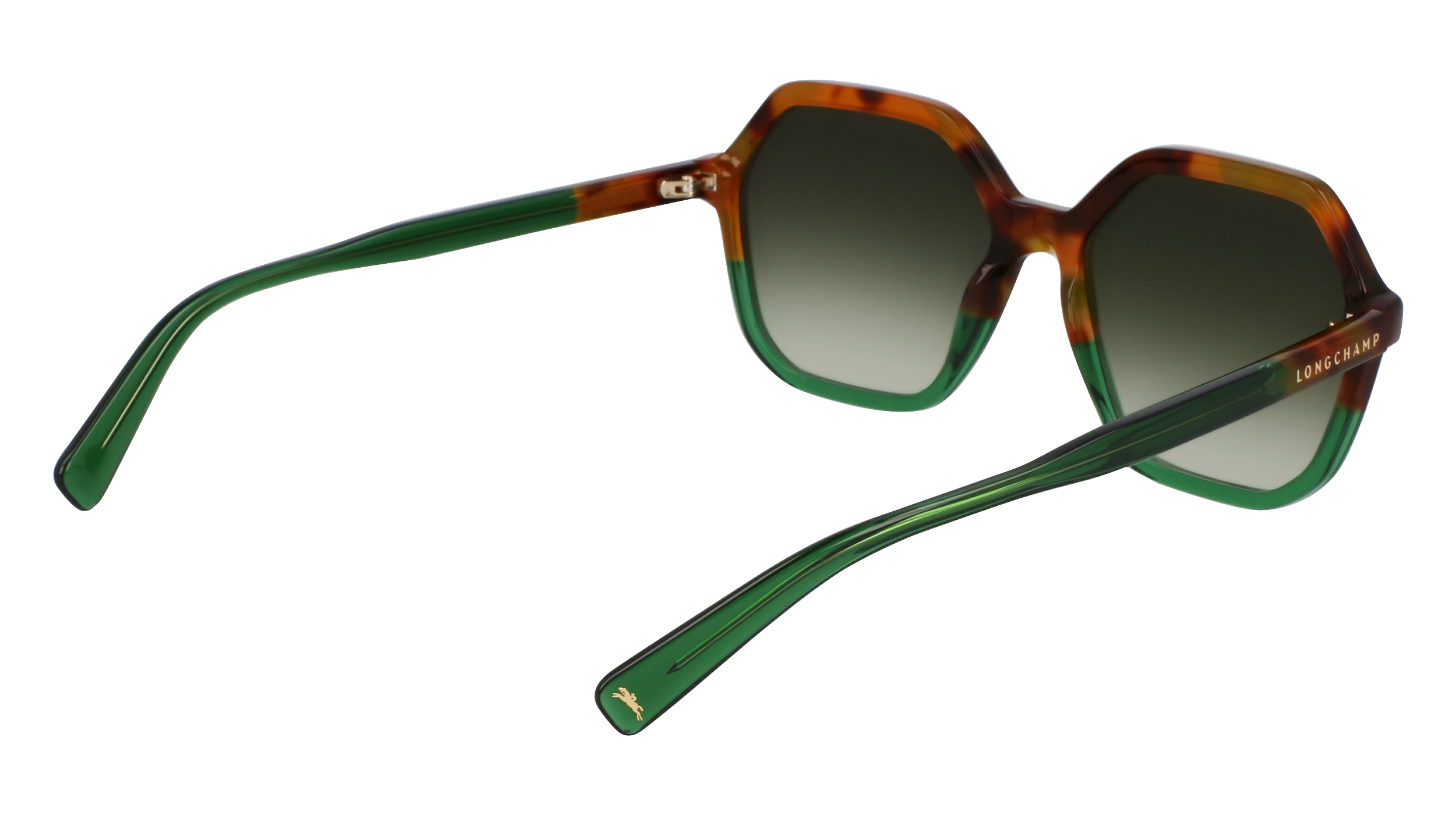 LO760S 263 Occhiali da sole LONGCHAMP 6