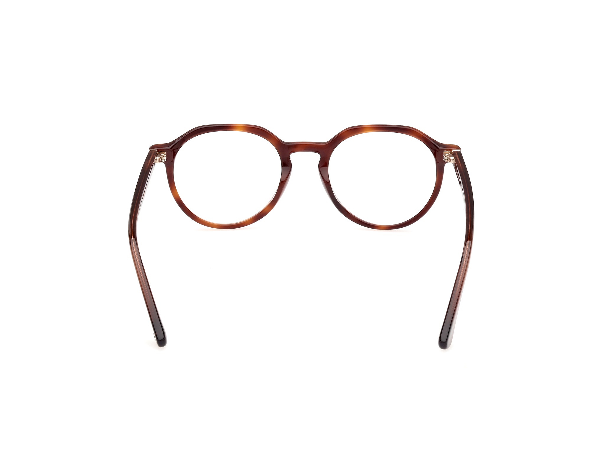 WE5427 56 Montature da vista Web 4