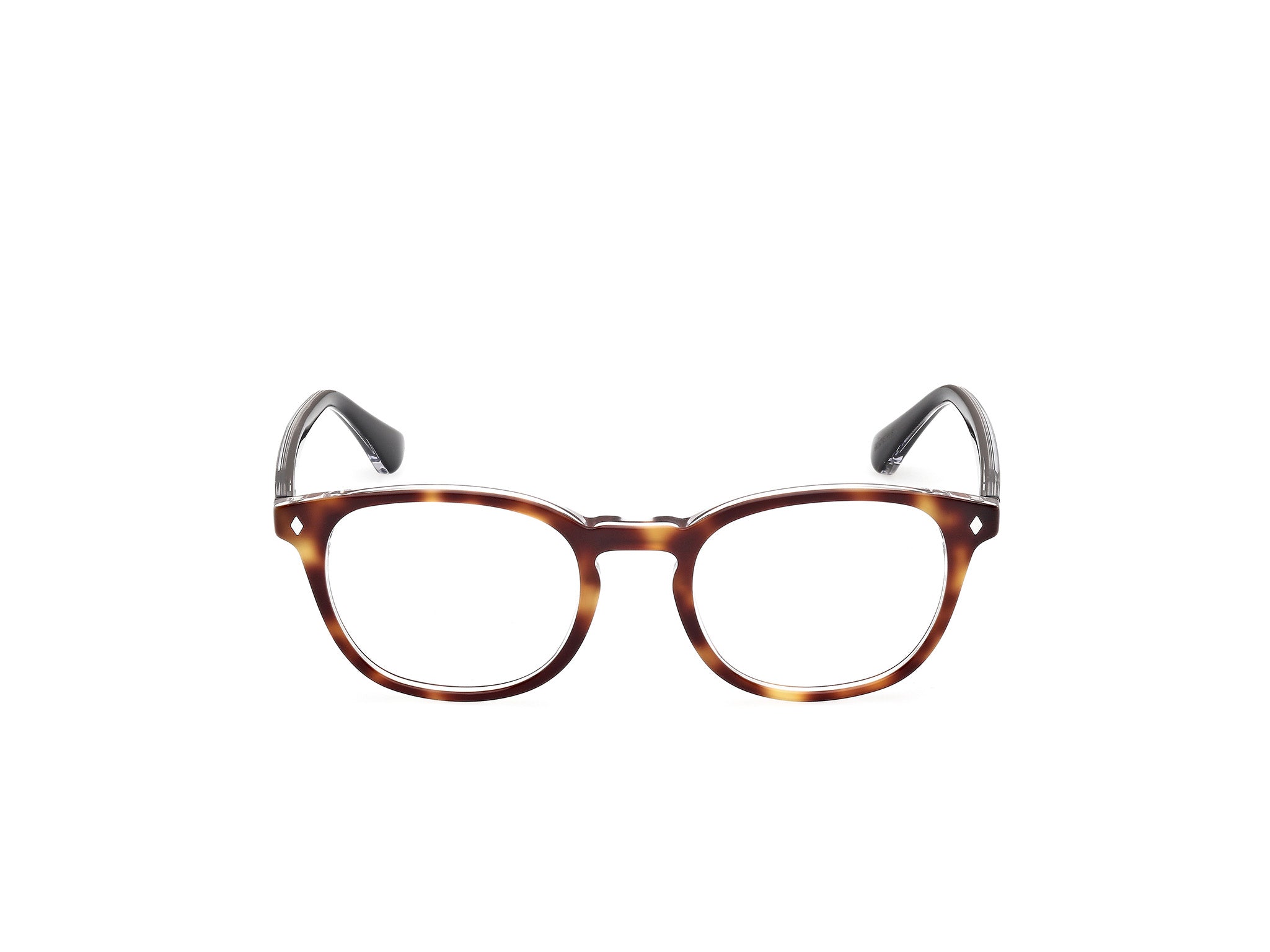 WE5441 56 Montature da vista Web 2