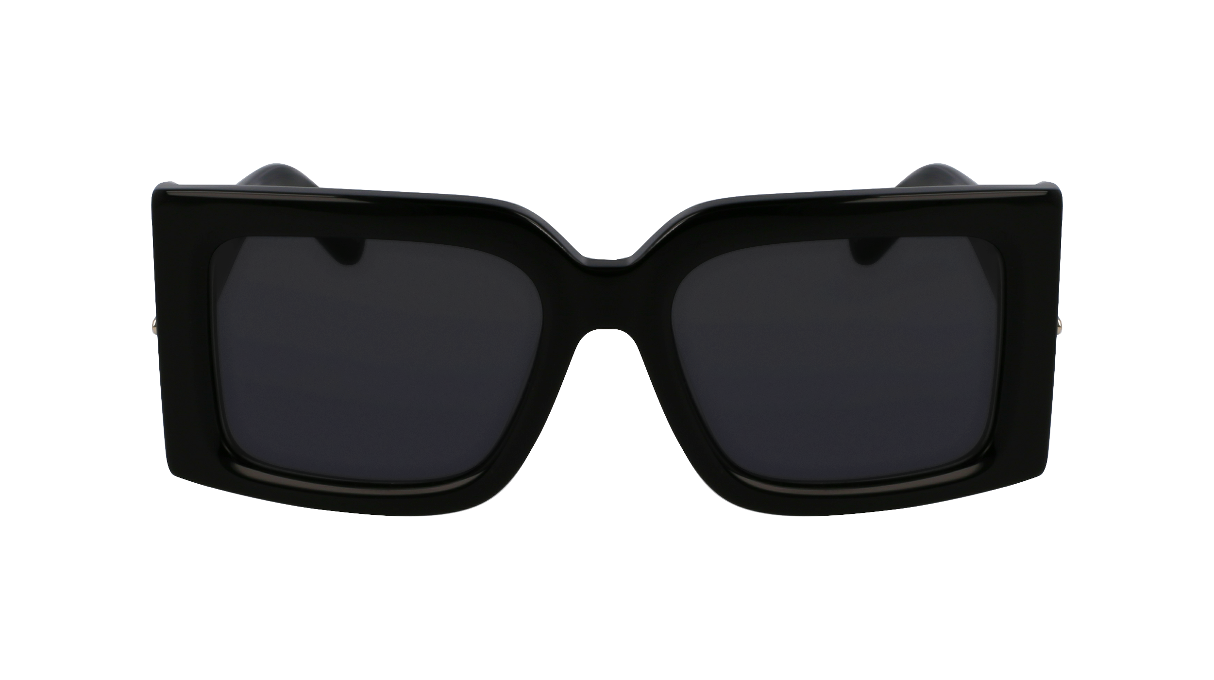 SF2032S 001 Occhiali da sole Ferragamo 2