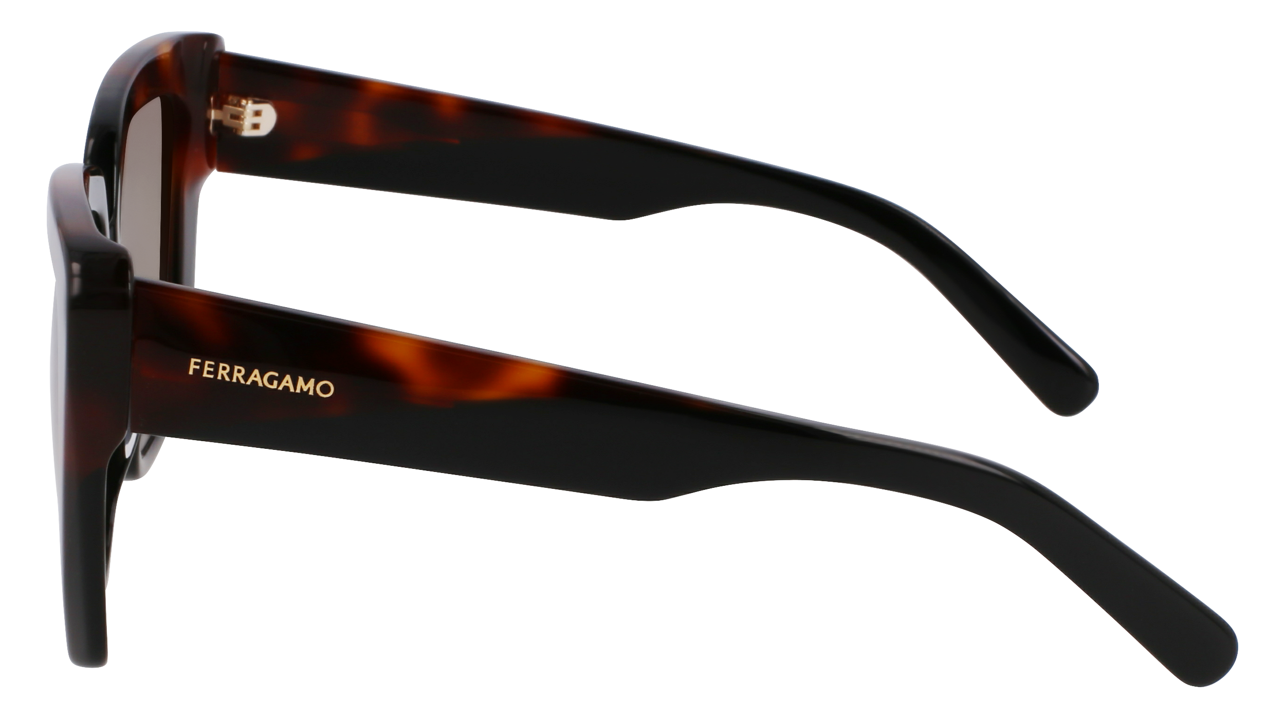 SF1060SN 006 Occhiali da sole Ferragamo 4