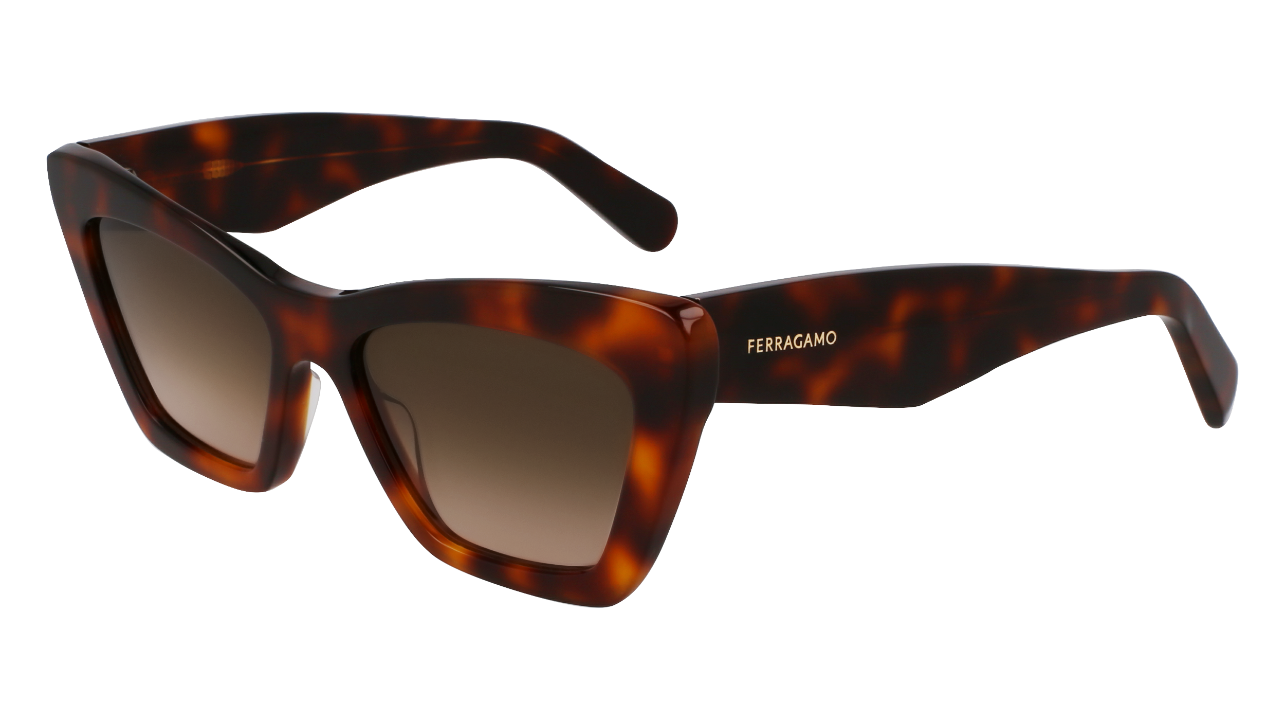 SF929SN 219 Occhiali da sole Ferragamo 1