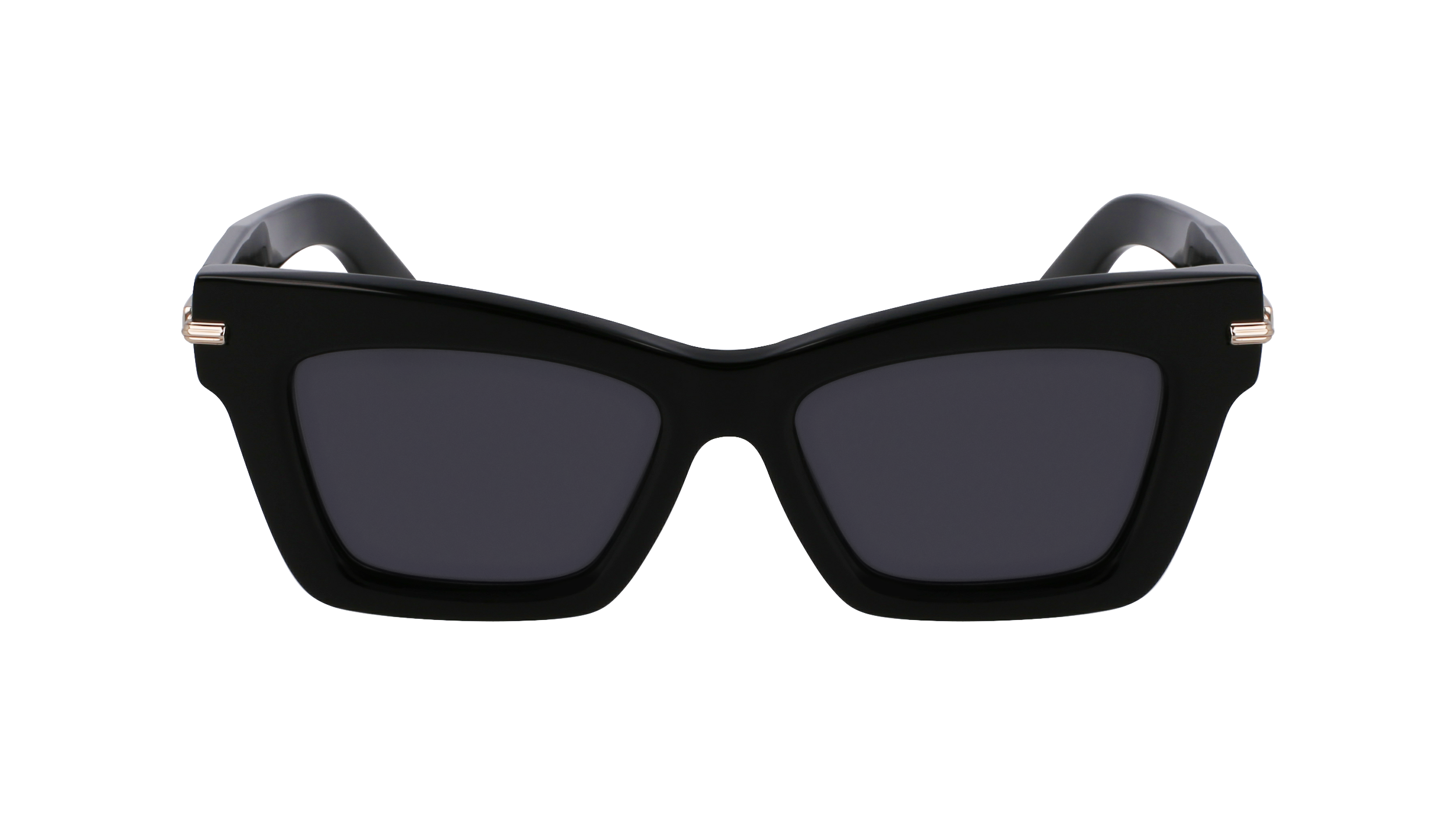 SF2031S 001 Occhiali da sole Ferragamo 2