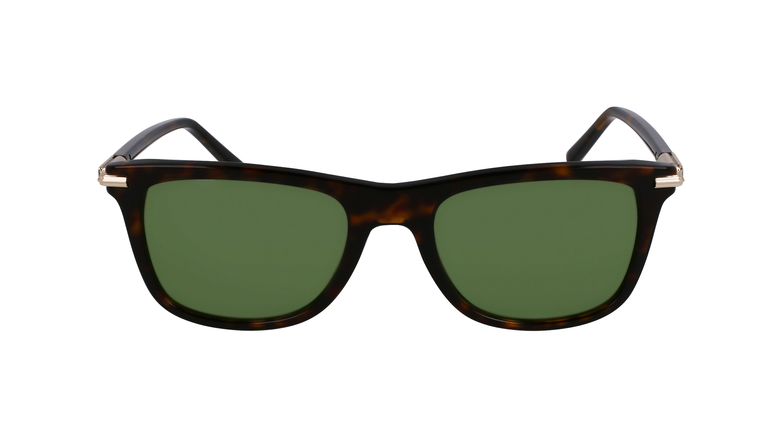 SF2028S 242 Occhiali da sole Ferragamo 2