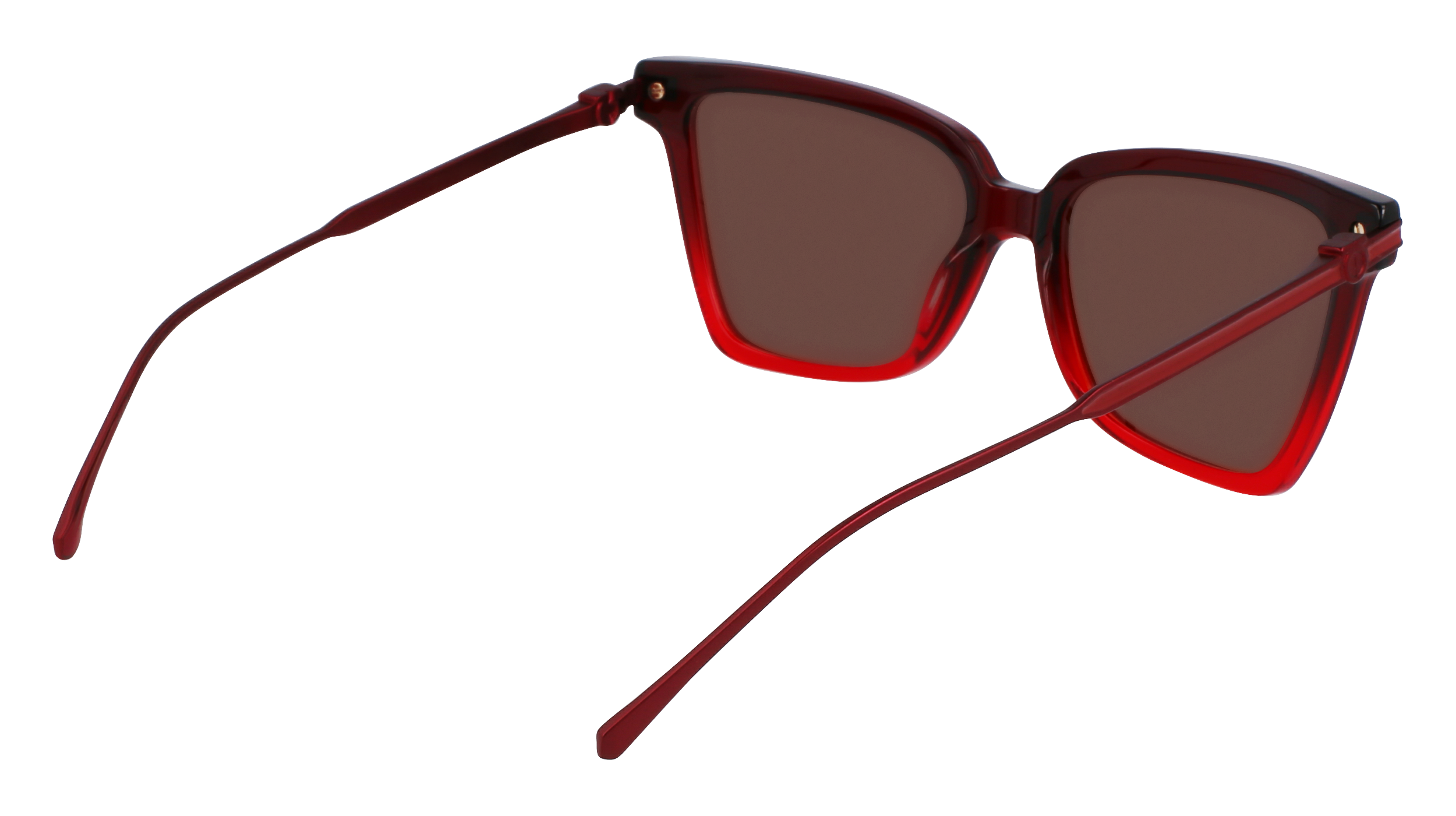 SF2036S 615 Occhiali da sole Ferragamo 5