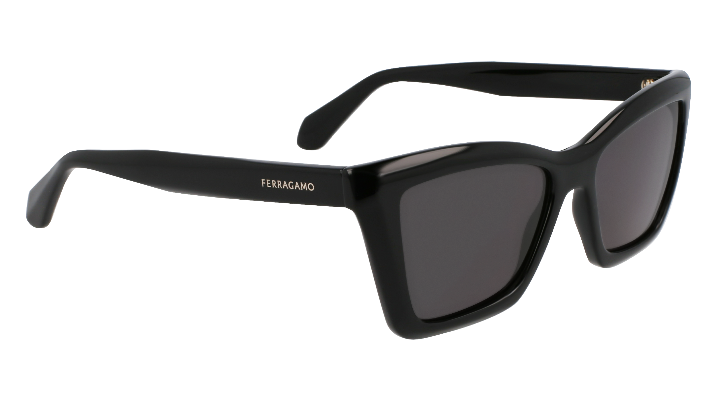 SF2039SE 001 Occhiali da sole Ferragamo 8