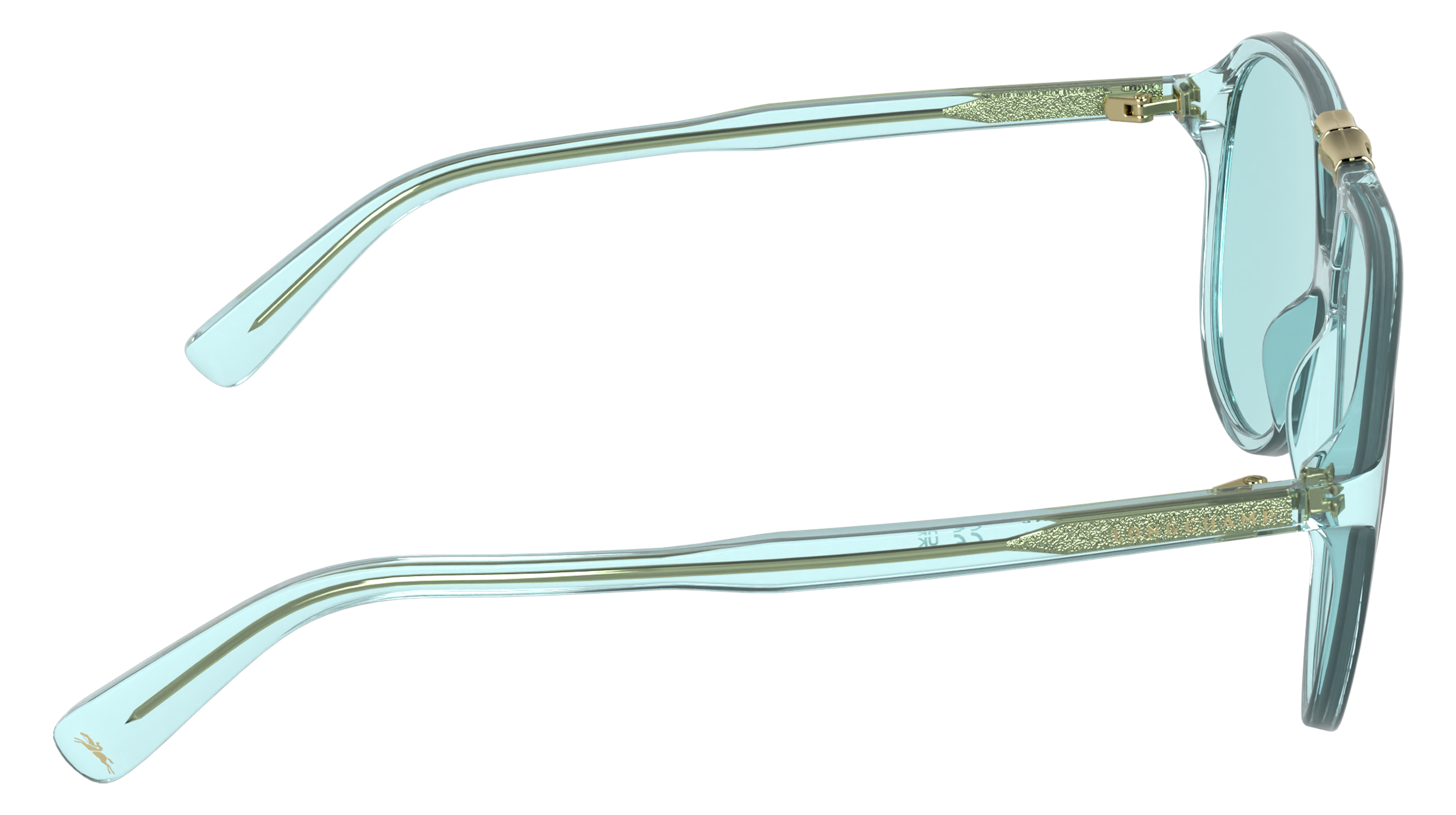 LONGCHAMP LO800S 419