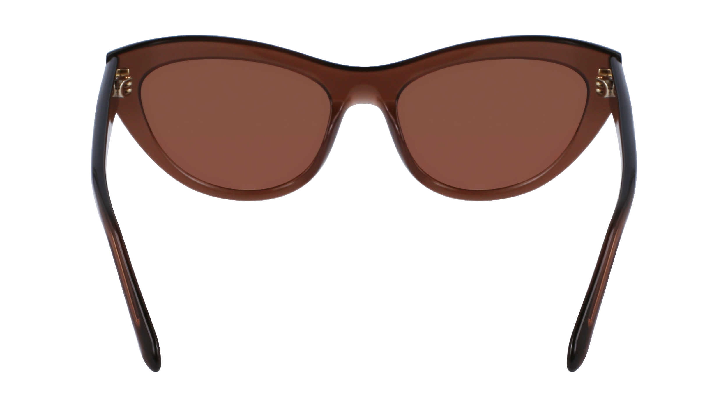 SF1103S 232 Occhiali da sole Ferragamo 6