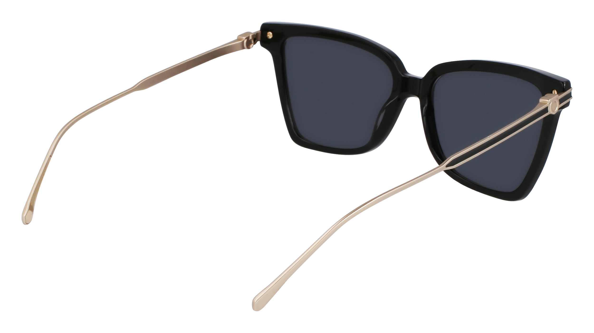 SF2036S 001 Occhiali da sole Ferragamo 5