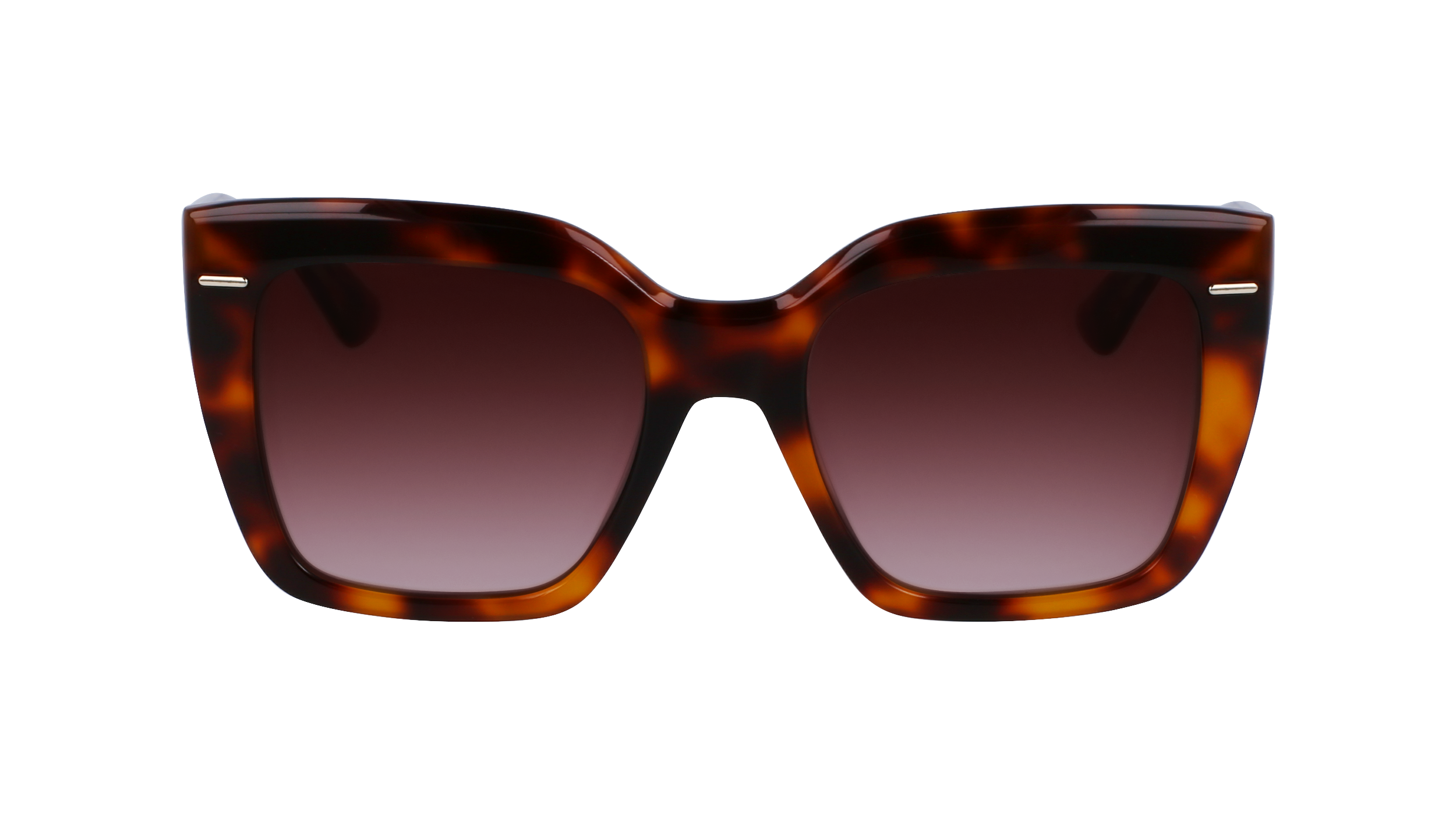 CK23508S 220 Occhiali da sole Calvin Klein 3
