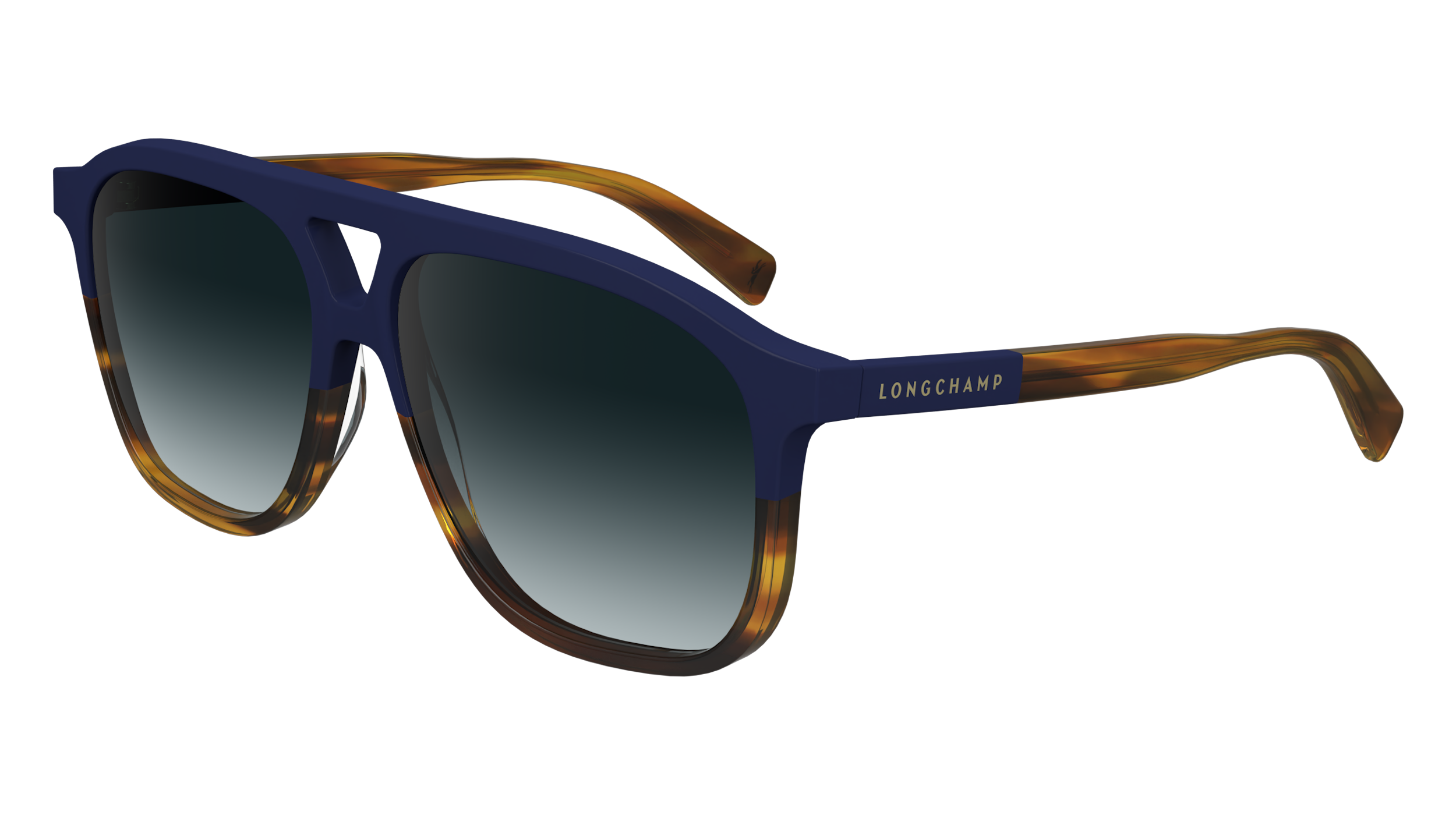 LO751S 430 Occhiali da sole LONGCHAMP 1