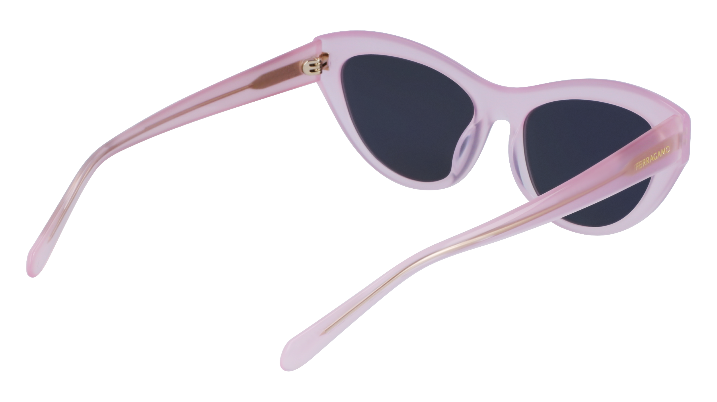 SF1103S 663 Occhiali da sole Ferragamo 4