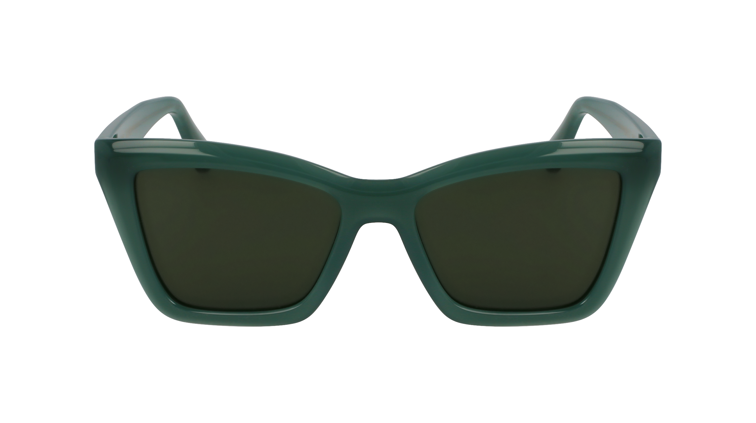 SF2039SE 339 Occhiali da sole Ferragamo 2