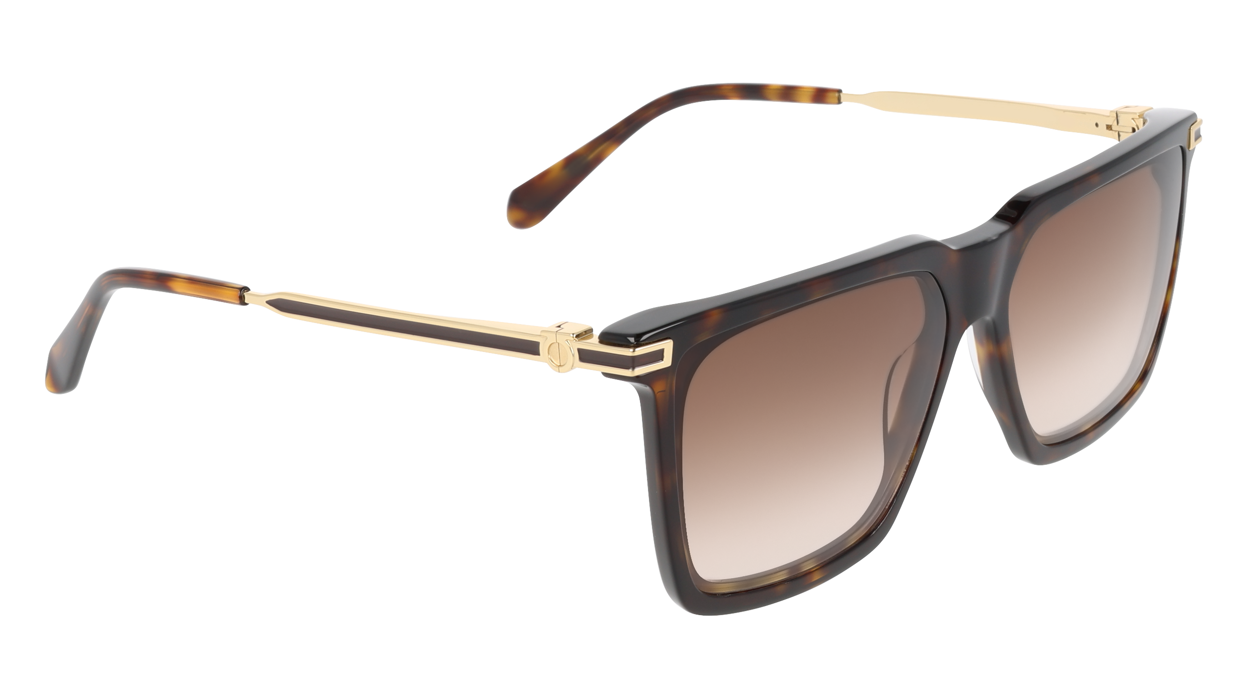 SF2077SLBI 242 Occhiali da sole Ferragamo 8