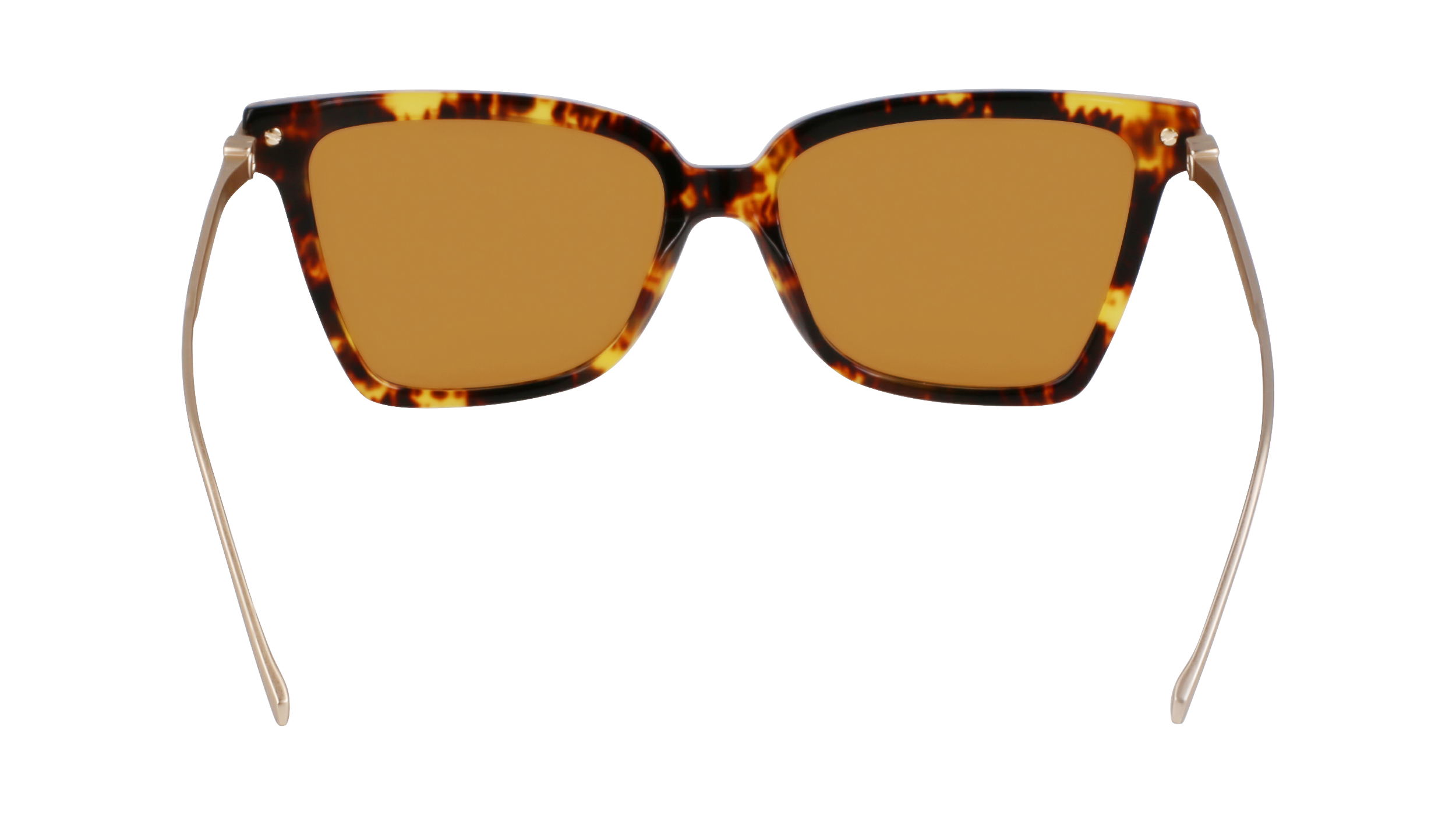 SF2036S 242 Occhiali da sole Ferragamo 6